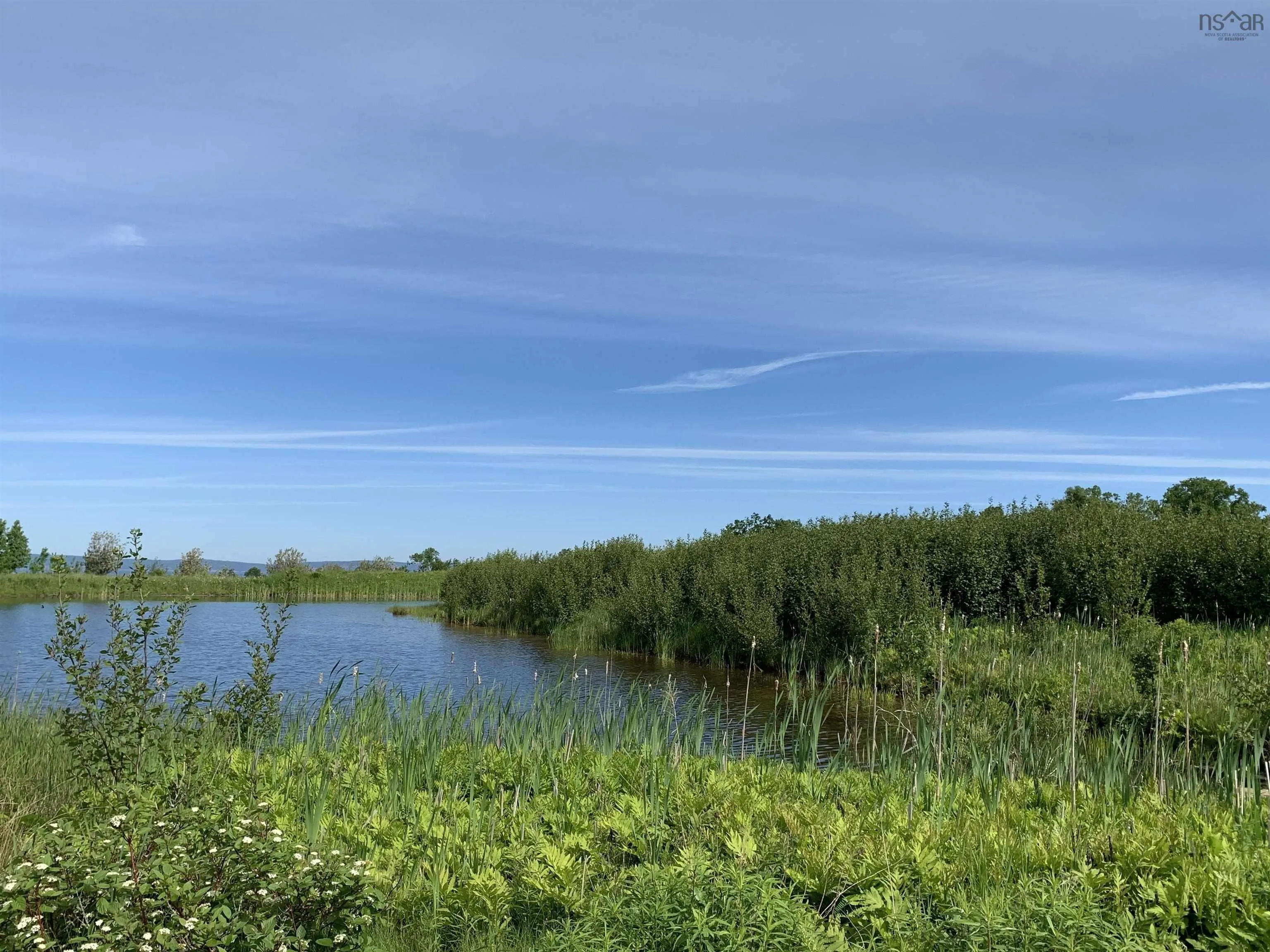 Highway 215, Kempt Shore Ns B0n 2a0, ,Land,For Sale,Highway 215,202426380