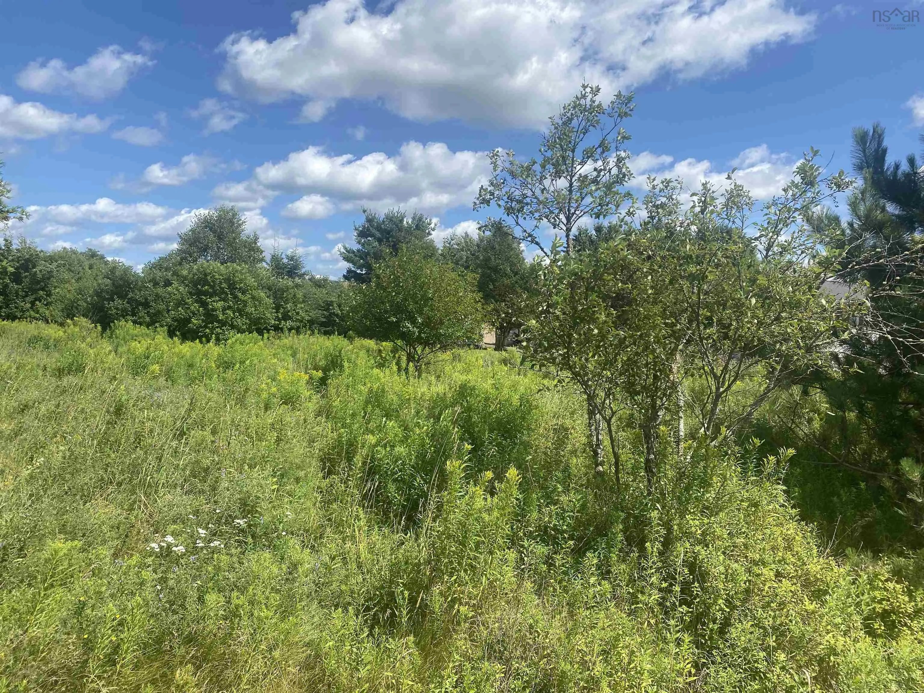 Old Court House Branch Road Lot 24, Murray Siding, NS B6L 3X4, ,Land,For Sale,Old Court House Branch,202518538