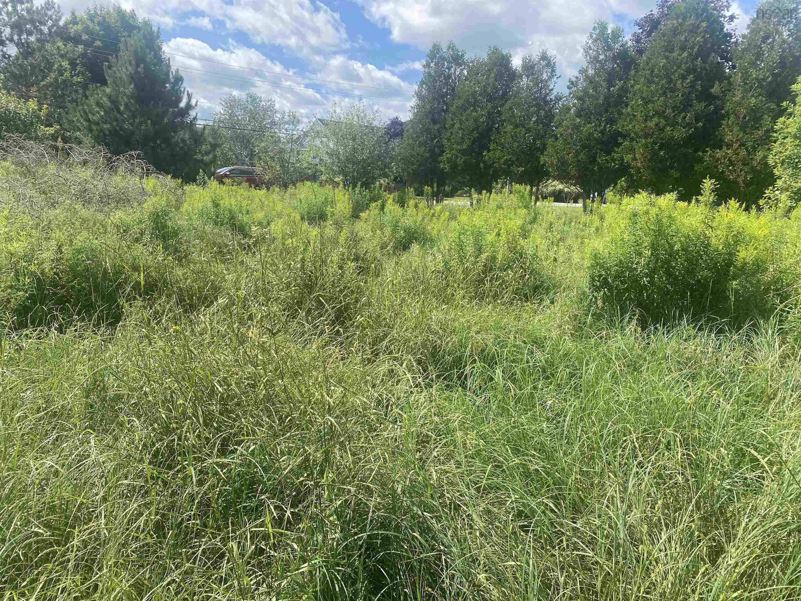 Old Court House Branch Road Lot 24, Murray Siding, NS B6L 3X4, ,Land,For Sale,Old Court House Branch,202518538