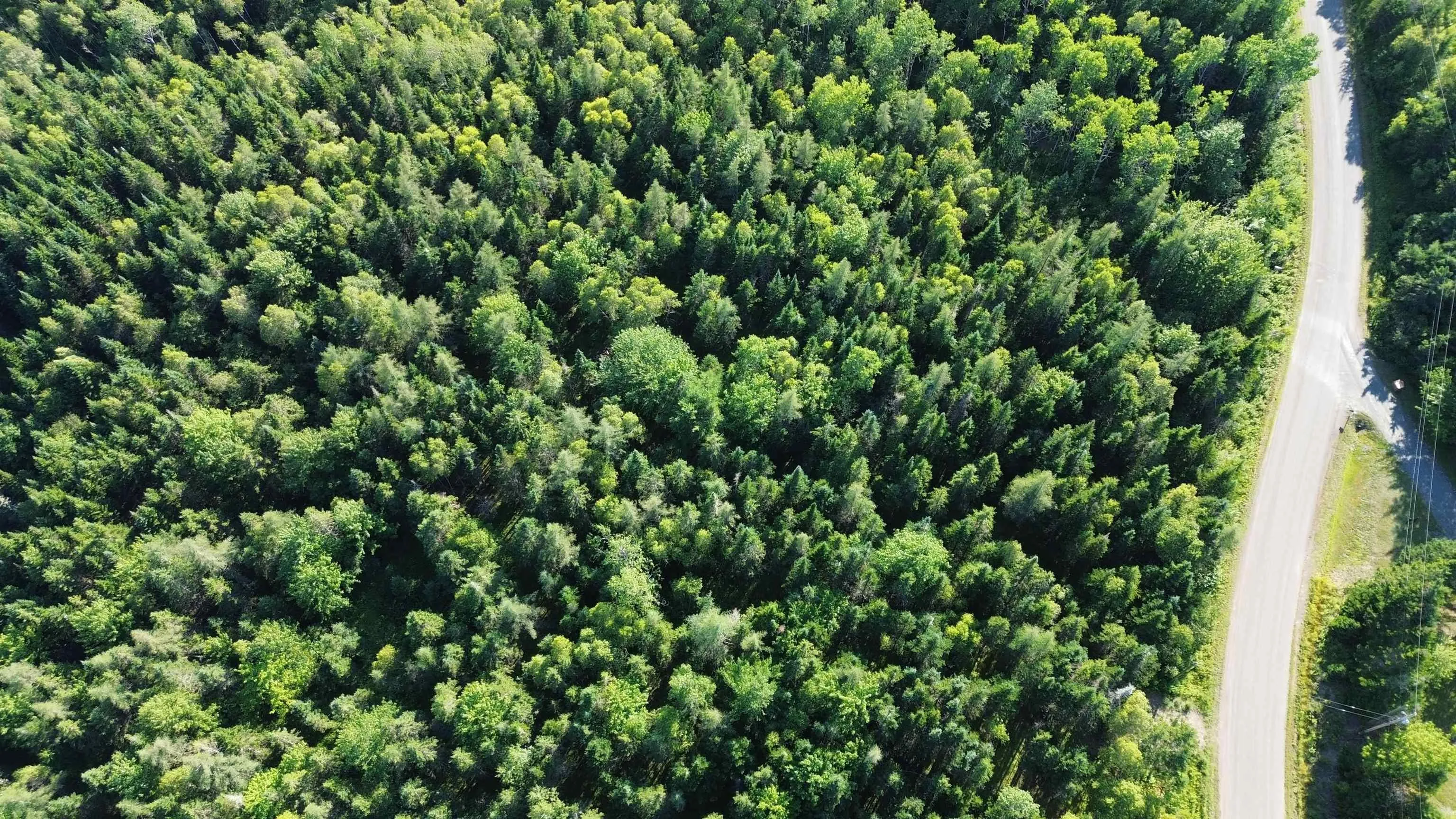 Cg19-2 Hiram Lynds Road, North River, NS B6L 6K2, ,Land,For Sale,Hiram Lynds,202518525