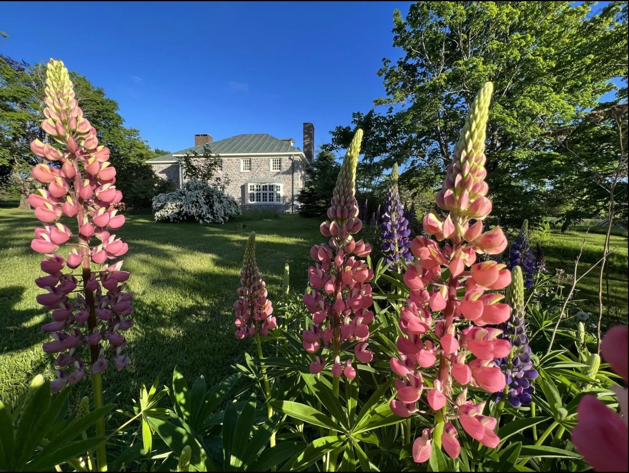3746 1 Highway, Annapolis Royal Ns B0s 1a0, 5 Bedrooms Bedrooms, ,5 BathroomsBathrooms,Residential,For Sale,Highway 1,202423470