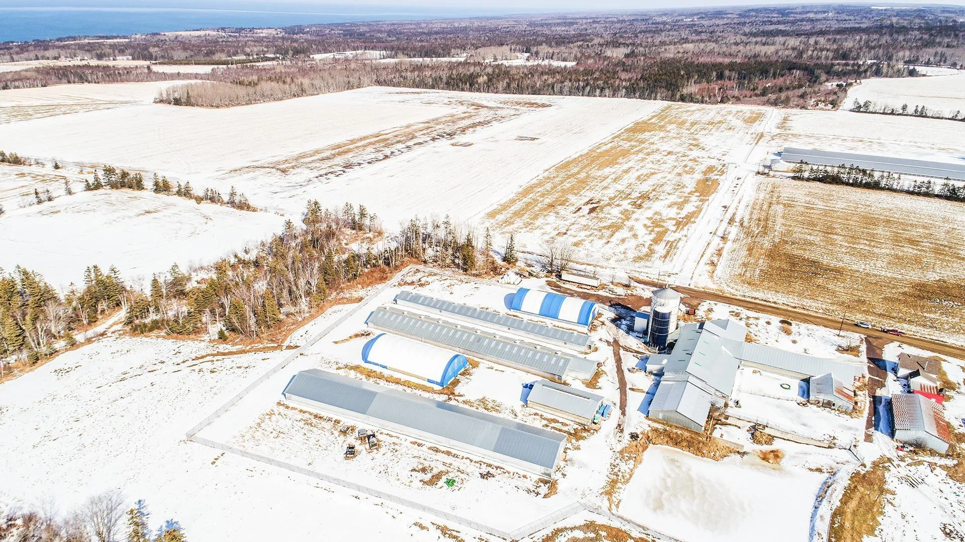 1871 Dodge Road, Forest Glade, NS B0P 1R0, 5 Bedrooms Bedrooms, ,1 BathroomBathrooms,Farm,For Sale,Dodge,202523088