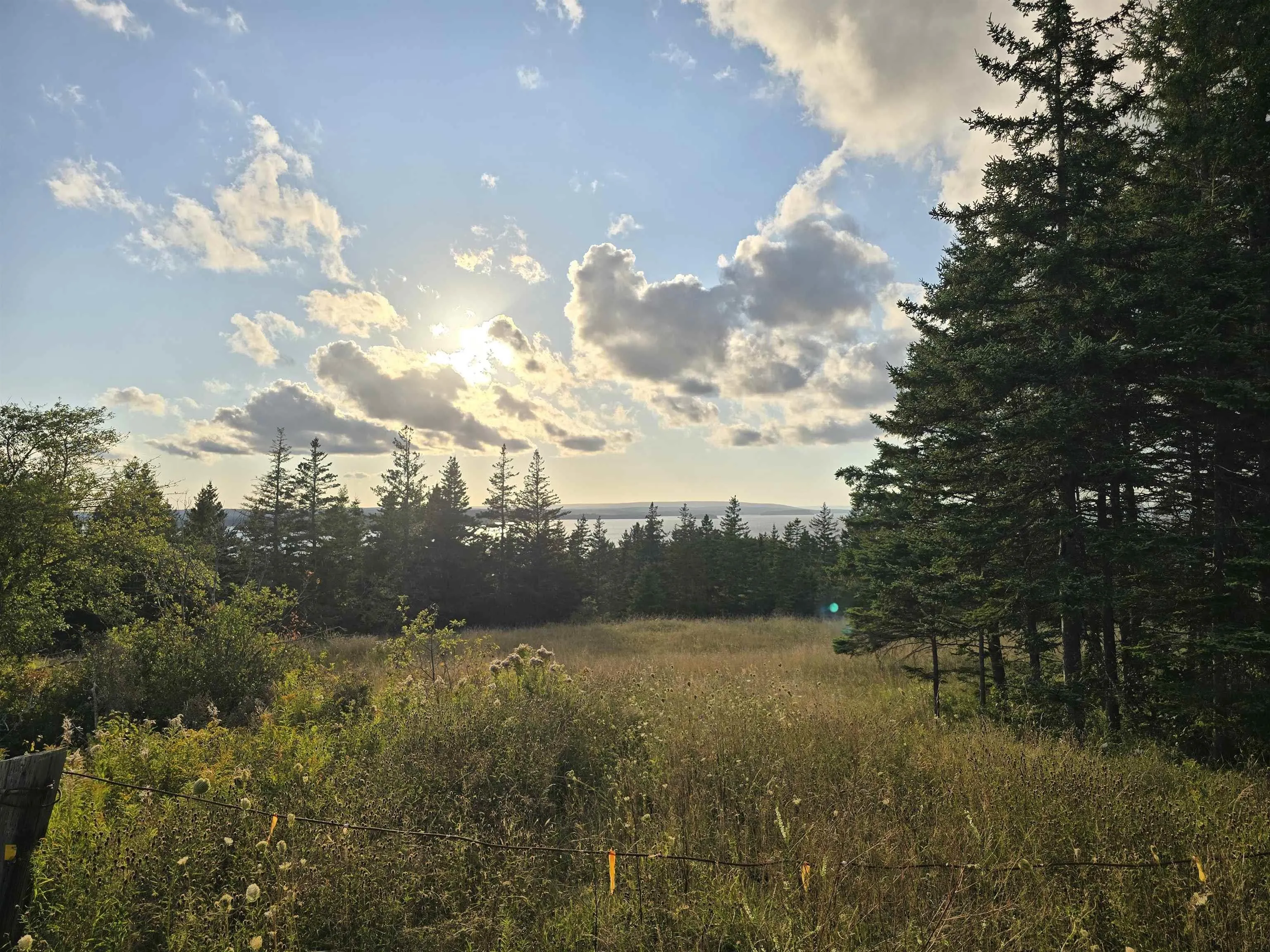 No 4 Highway, Soldiers Cove, NS B0E 3B0, ,Land,For Sale,No 4,202522934