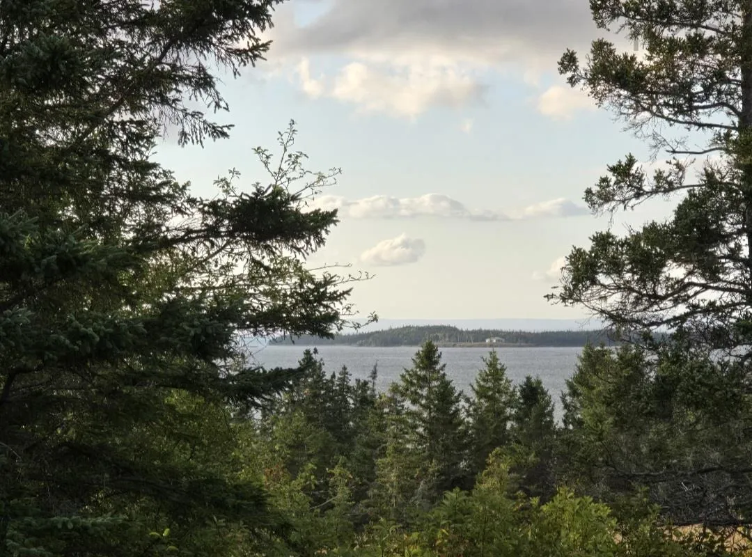 No 4 Highway, Soldiers Cove, NS B0E 3B0, ,Land,For Sale,No 4,202522934