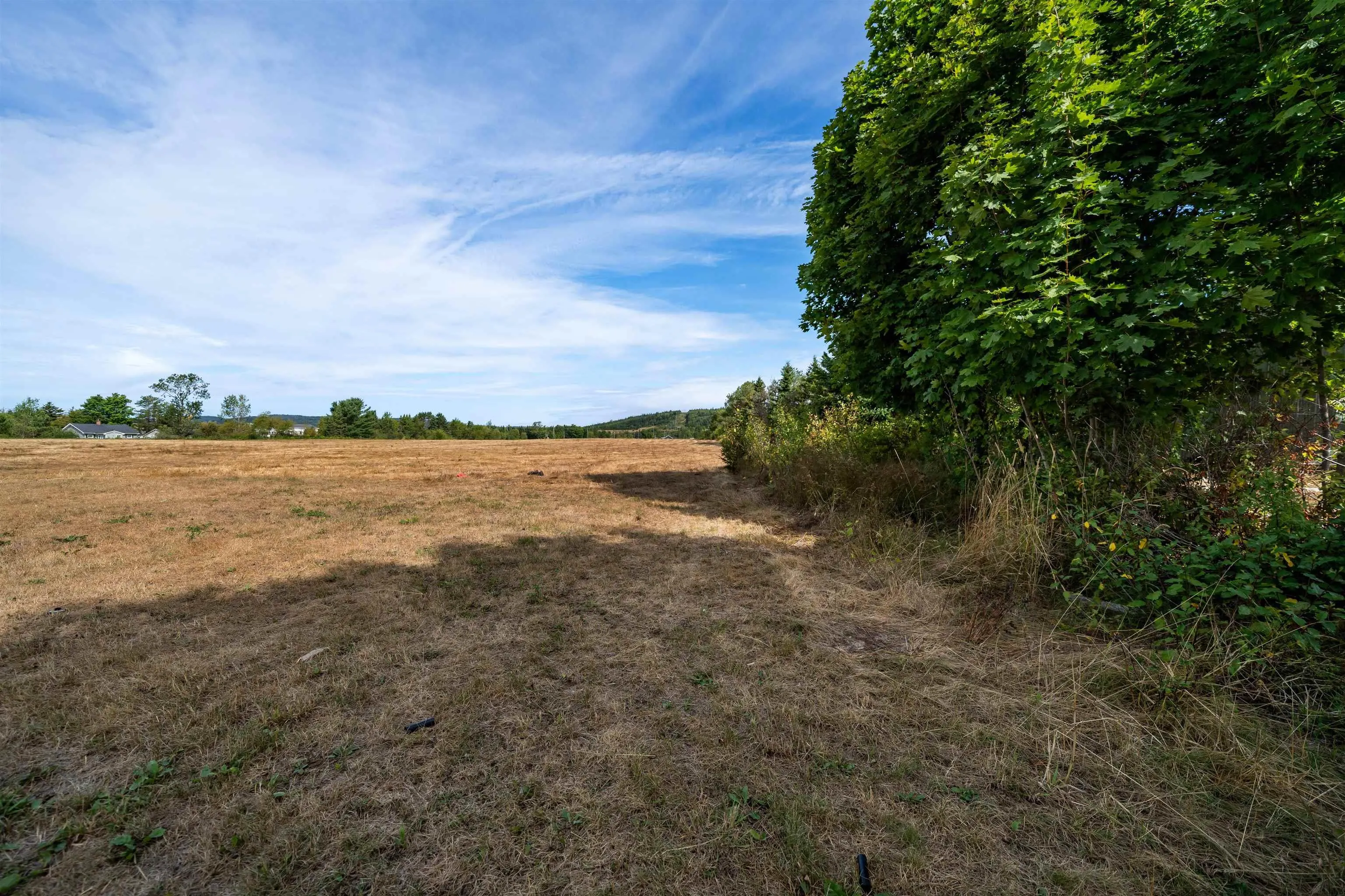 248 Mill Street, Parrsboro, NS B0M 1S0, 2 Bedrooms Bedrooms, ,1 BathroomBathrooms,Residential,For Sale,Mill,202521322