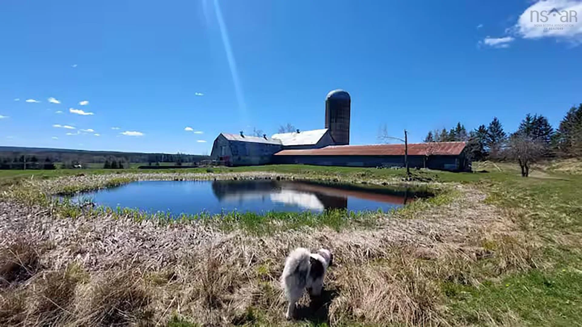 11454 Highway 224, Elmsvale Ns B0n 1x0, 4 Bedrooms Bedrooms, ,2 BathroomsBathrooms,Farm,For Sale,Highway 224,202504015