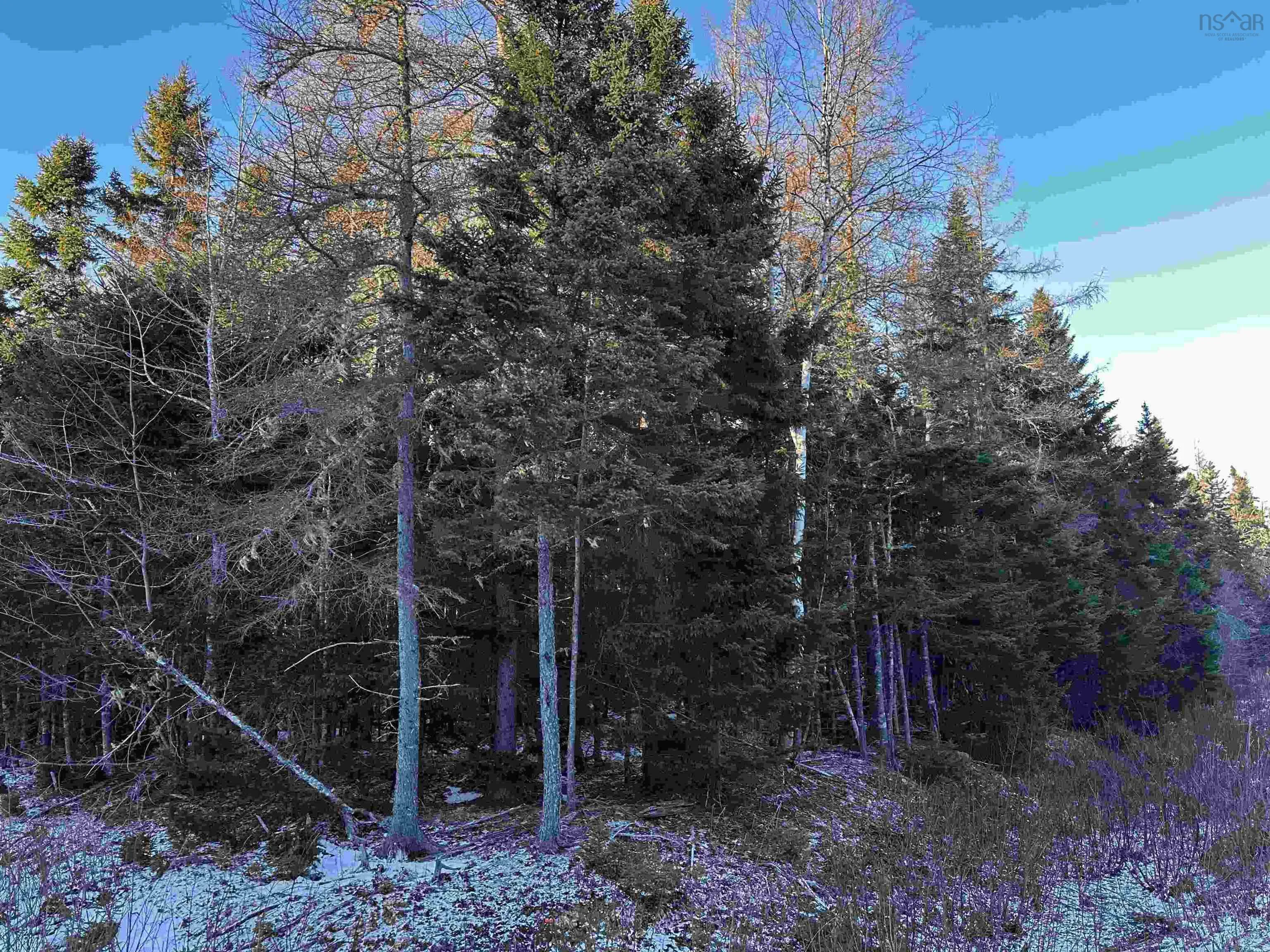 Marble Mountain Road, Valley Mills, NS B0E 2Y0, ,Land,For Sale,Marble Mountain,202516983