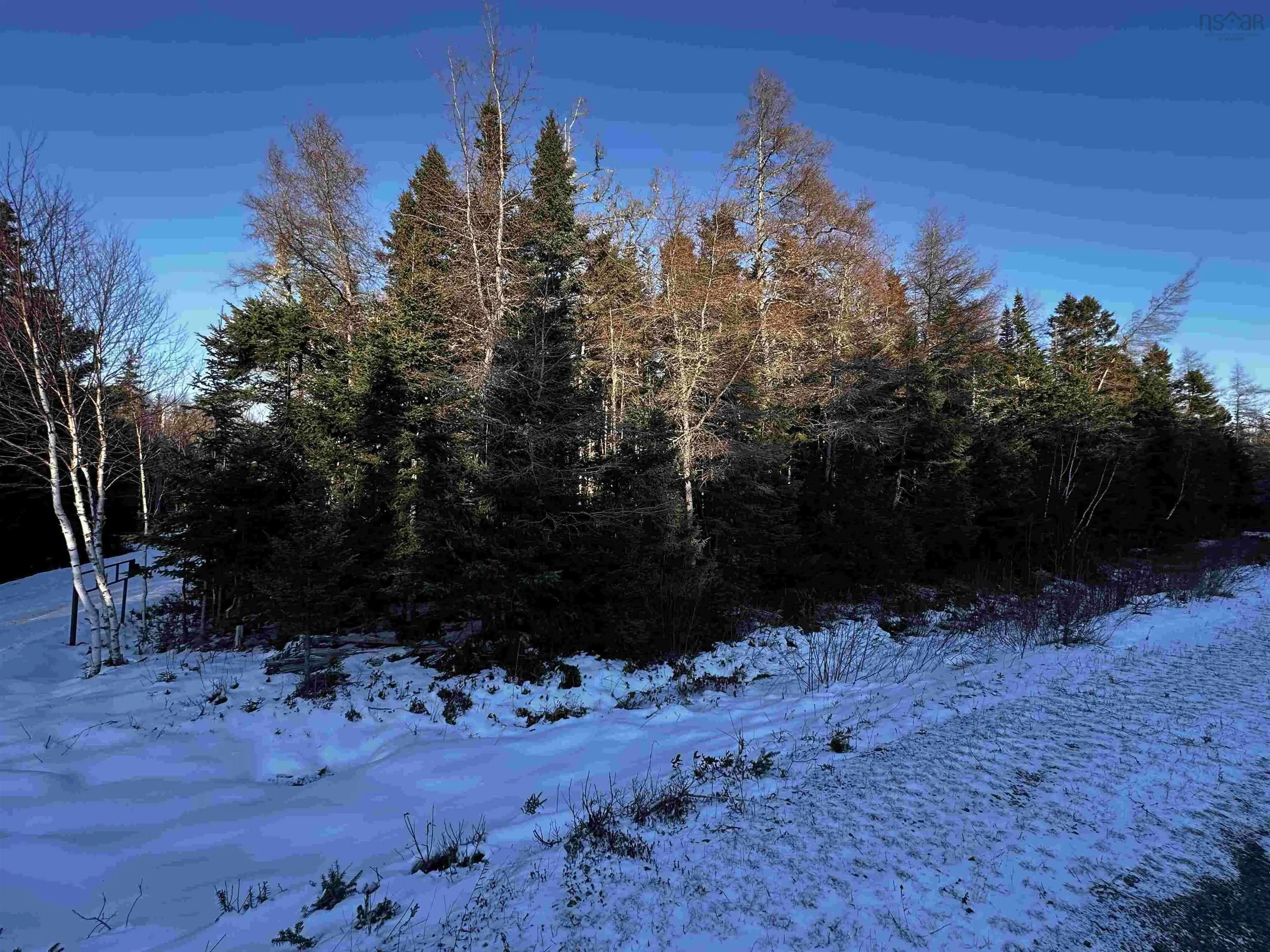 Marble Mountain Road, Valley Mills, NS B0E 2Y0, ,Land,For Sale,Marble Mountain,202516983