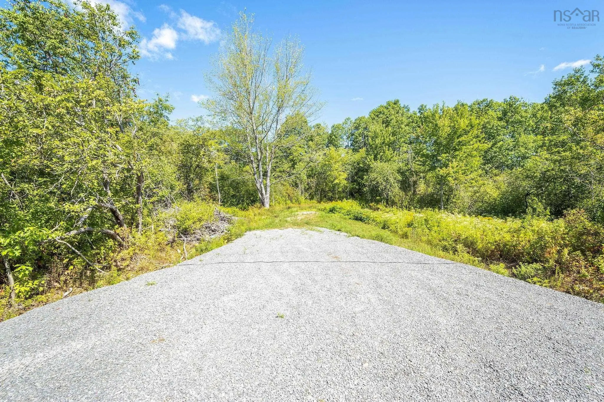 No 236 Highway, Scotch Village, NS B0N 2A0, ,Land,For Sale,No 236 Highway,202521826