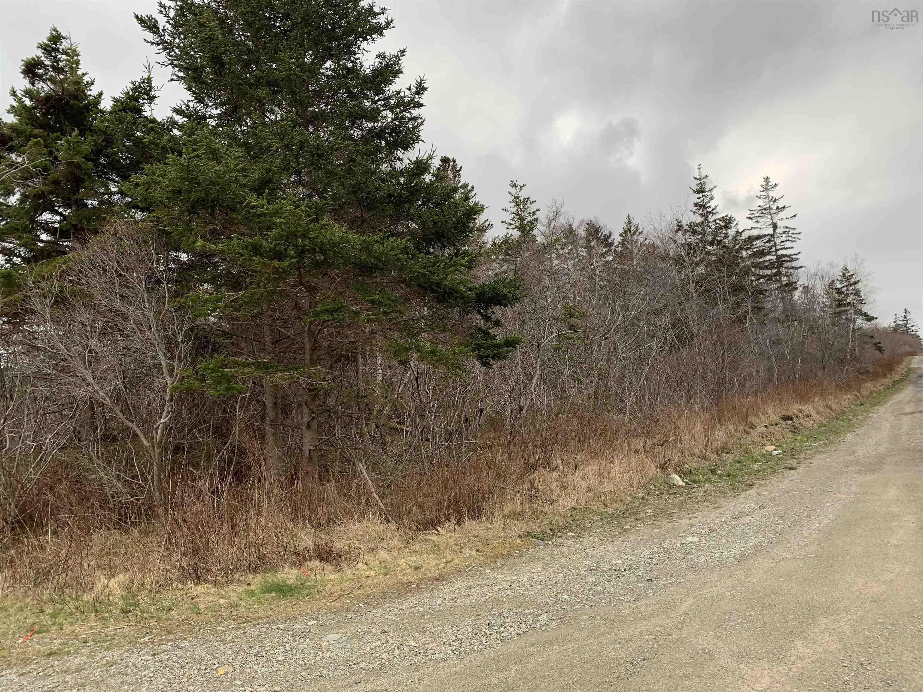 Lots Hardwood Hills Road, Plymouth Ns B0w 1b0, ,Land,For Sale,Hardwood Hills,202404358