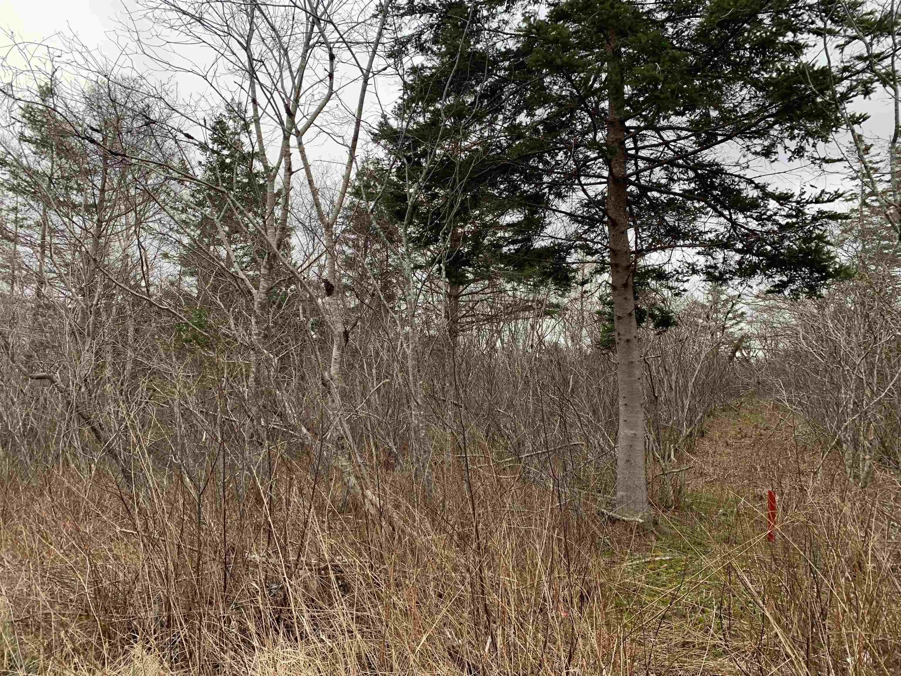 Lots Hardwood Hills Road, Plymouth Ns B0w 1b0, ,Land,For Sale,Hardwood Hills,202404358