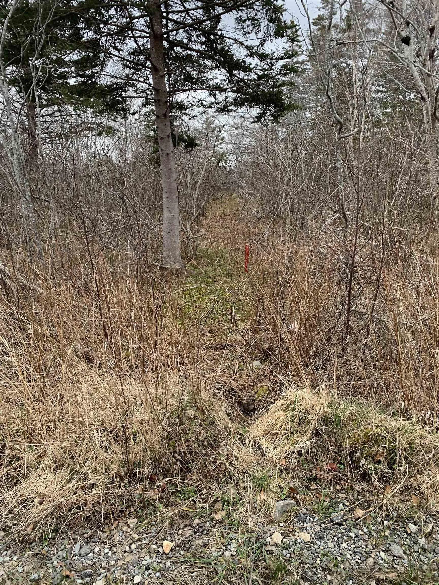 Lots Hardwood Hills Road, Plymouth Ns B0w 1b0, ,Land,For Sale,Hardwood Hills,202404358