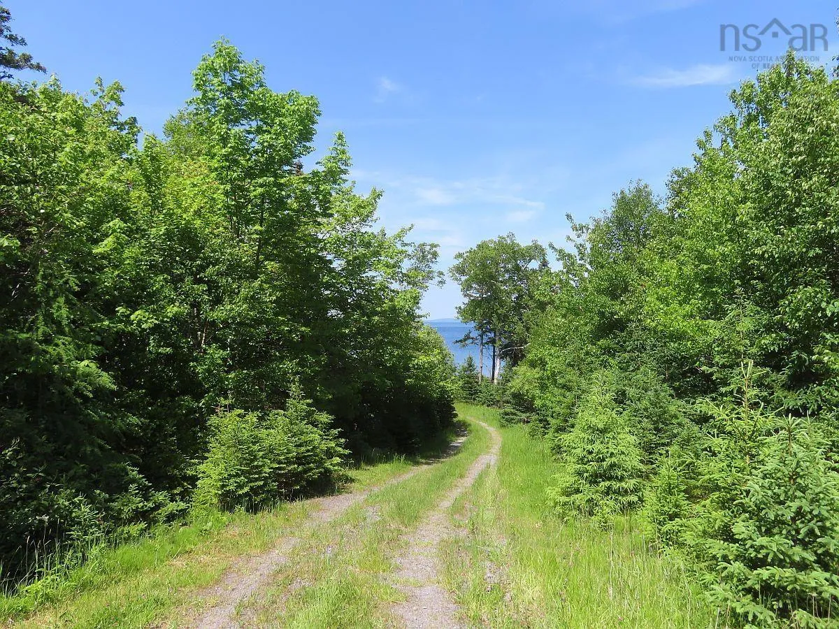 5-72 Naturer Dream P Boulevard, Roberta Ns B0e 3b0, ,Land,For Sale,Naturer Dream P,202307431