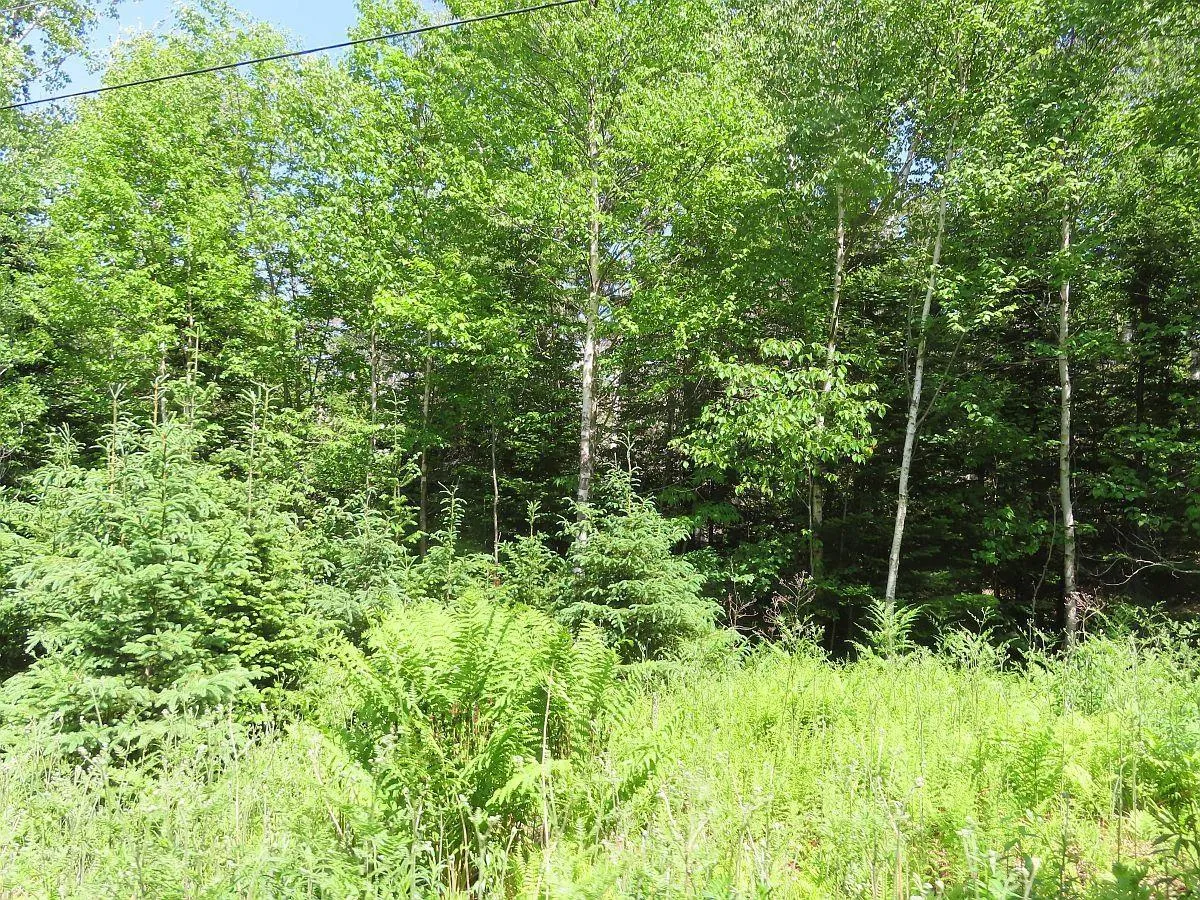 5-72 Naturer Dream P Boulevard, Roberta Ns B0e 3b0, ,Land,For Sale,Naturer Dream P,202307431