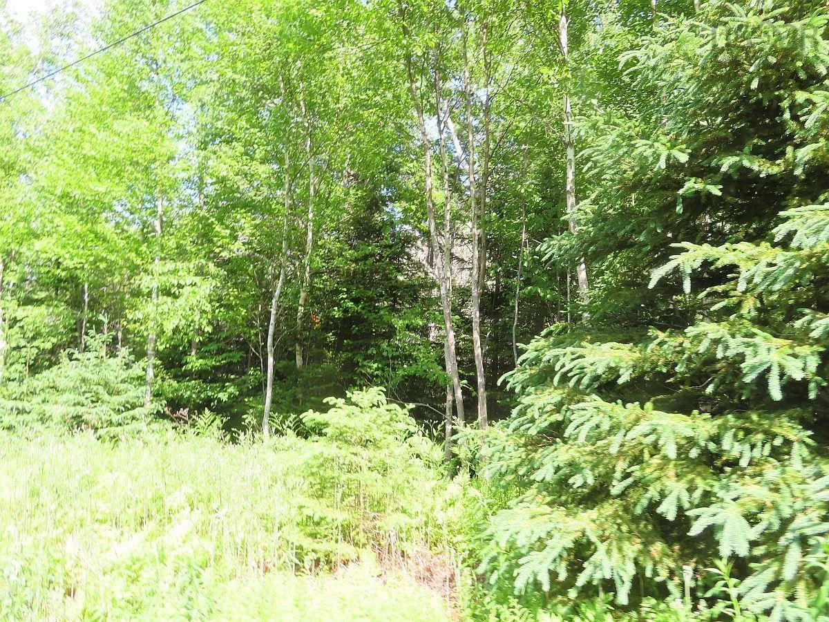 5-72 Naturer Dream P Boulevard, Roberta Ns B0e 3b0, ,Land,For Sale,Naturer Dream P,202307431