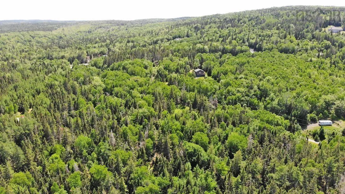 5-72 Naturer Dream P Boulevard, Roberta Ns B0e 3b0, ,Land,For Sale,Naturer Dream P,202307431