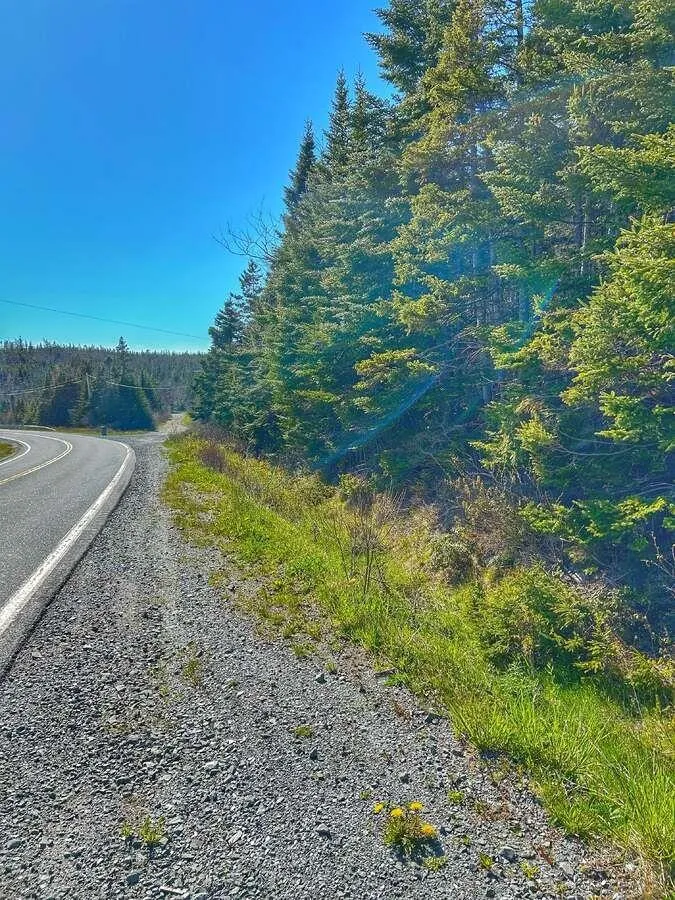 16331 Highway 7, Pleasant Harbour Ns B0j 3h0, ,Land,For Sale,Highway 7,202412014
