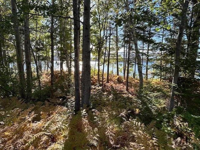 935 Big Harbour Road, Big Harbour, NS B0E 1B0, 3 Bedrooms Bedrooms, ,2 BathroomsBathrooms,Residential,For Sale,Big Harbour,202524825