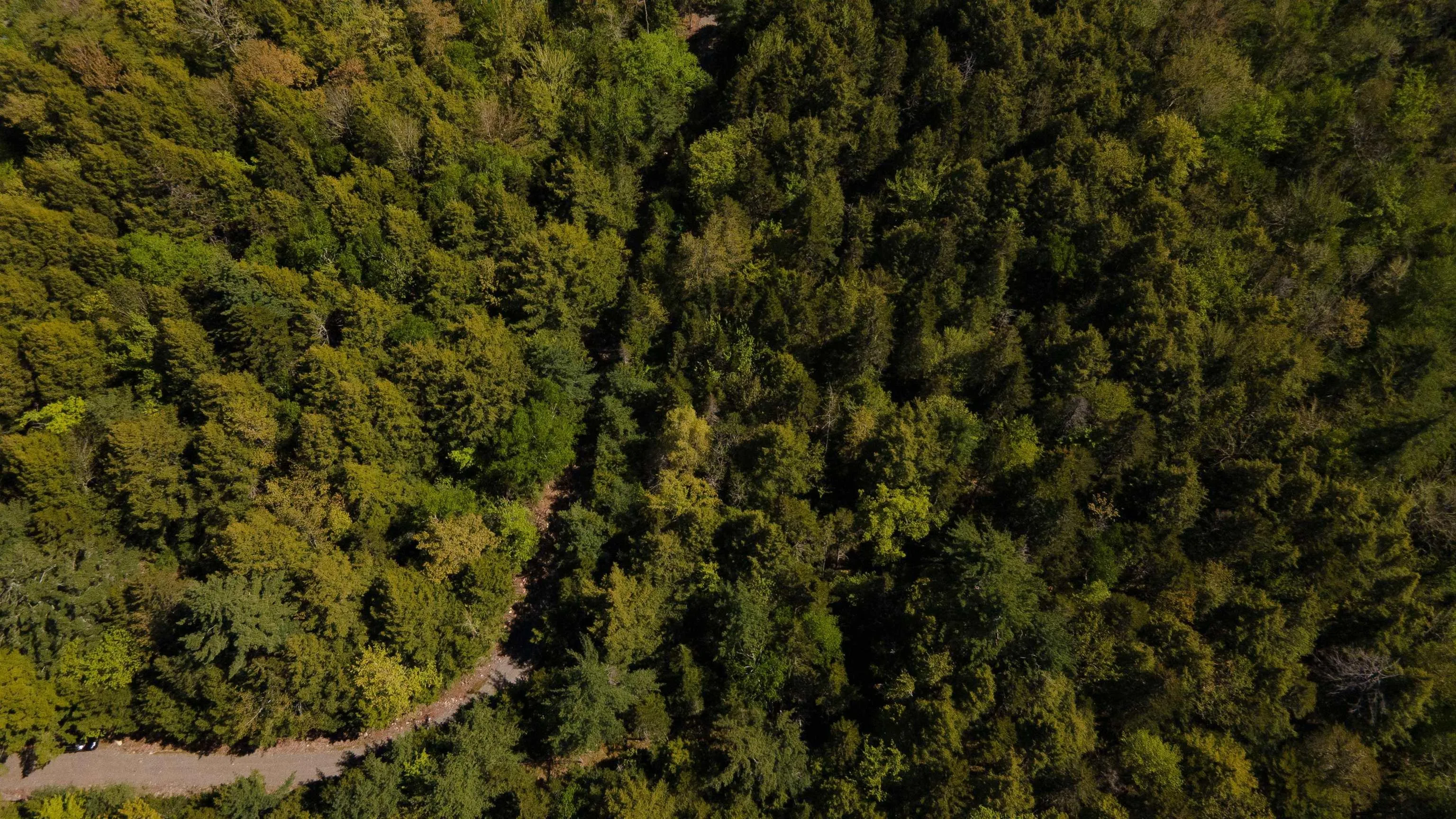 44 Hunts Camp Lane, Labelle Ns B0t 1e0, ,Land,For Sale,Hunts Camp,202419992