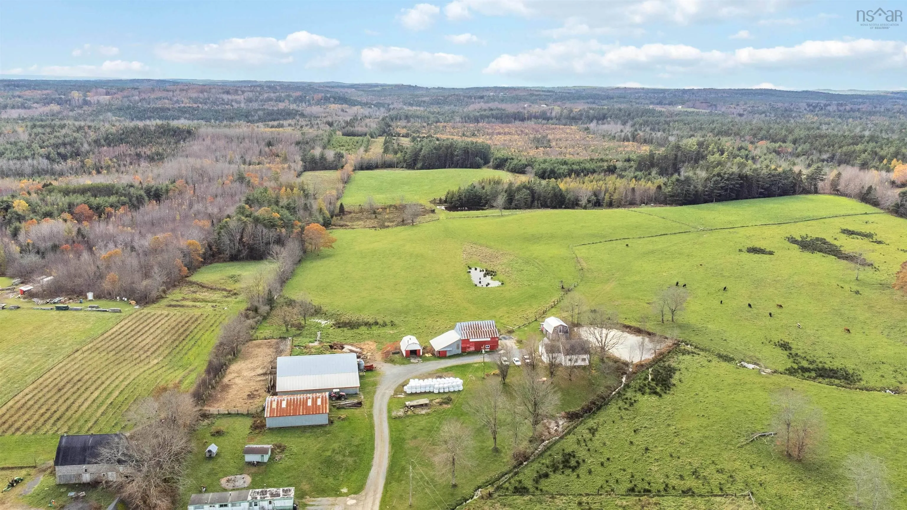 307 Lower Branch Road, Lower Branch Ns B4v 4m5, 4 Bedrooms Bedrooms, ,1 BathroomBathrooms,Farm,For Sale,Lower Branch,202322833