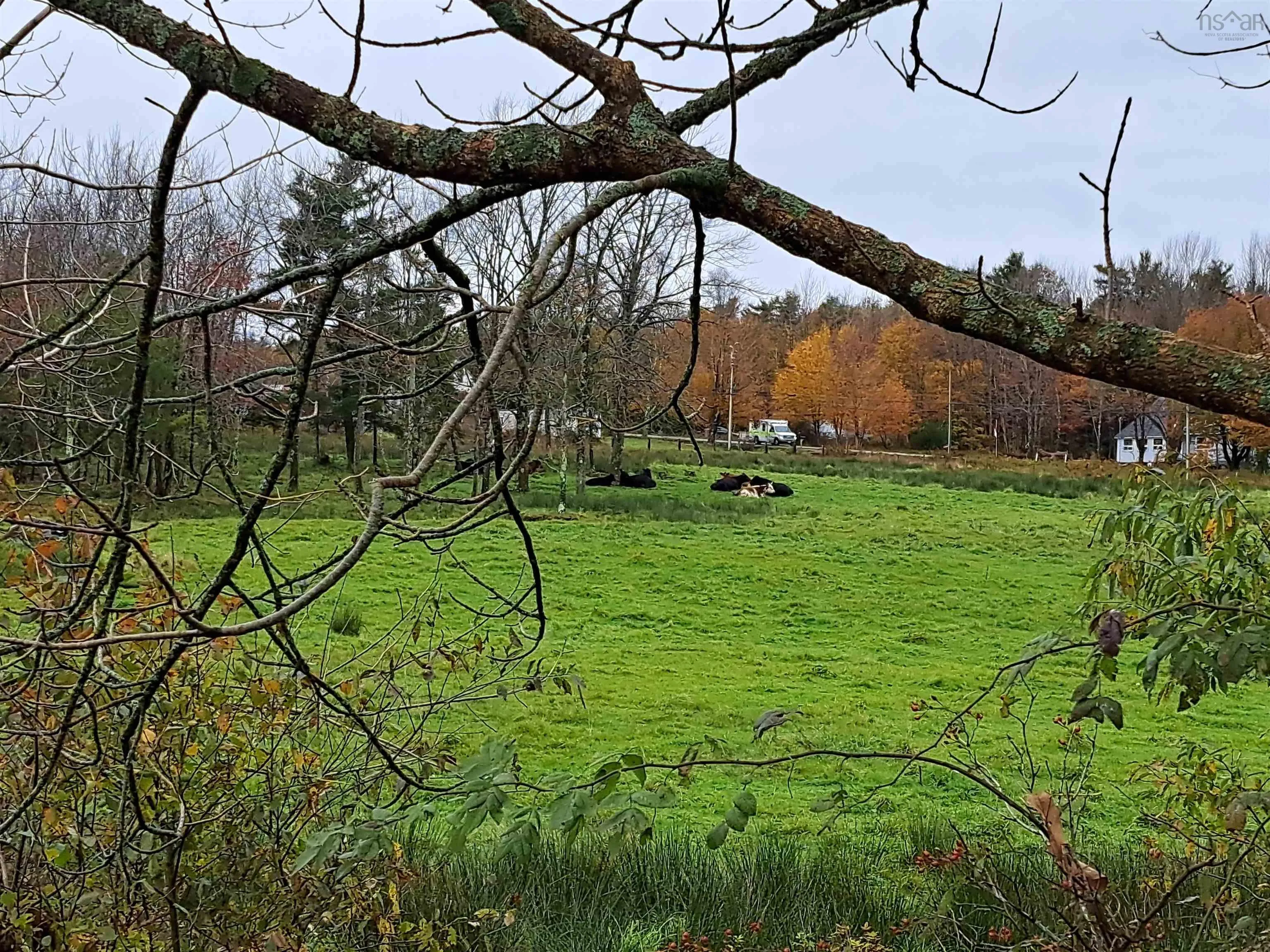 307 Lower Branch Road, Lower Branch Ns B4v 4m5, 4 Bedrooms Bedrooms, ,1 BathroomBathrooms,Farm,For Sale,Lower Branch,202322833