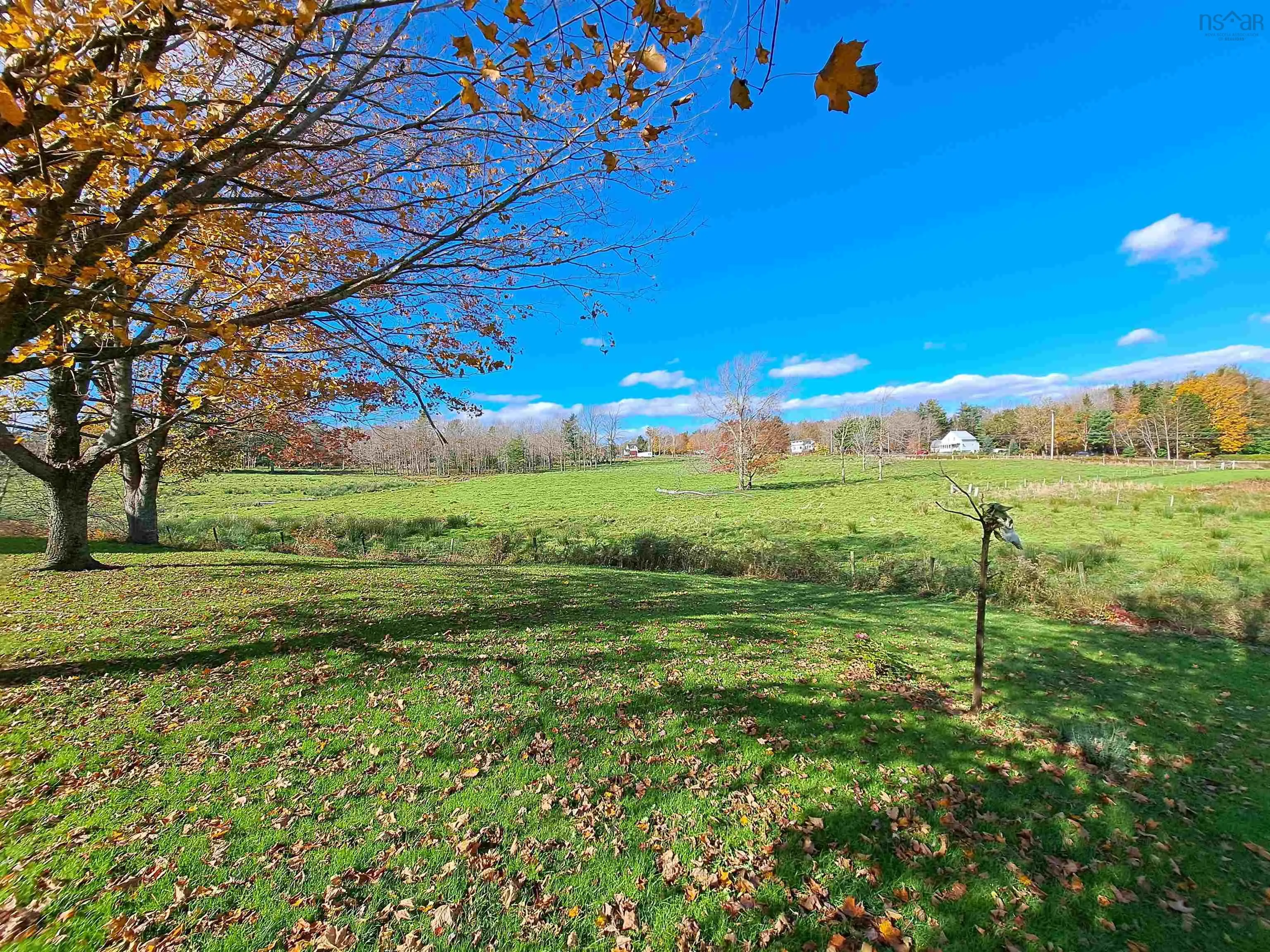 307 Lower Branch Road, Lower Branch Ns B4v 4m5, 4 Bedrooms Bedrooms, ,1 BathroomBathrooms,Farm,For Sale,Lower Branch,202322833