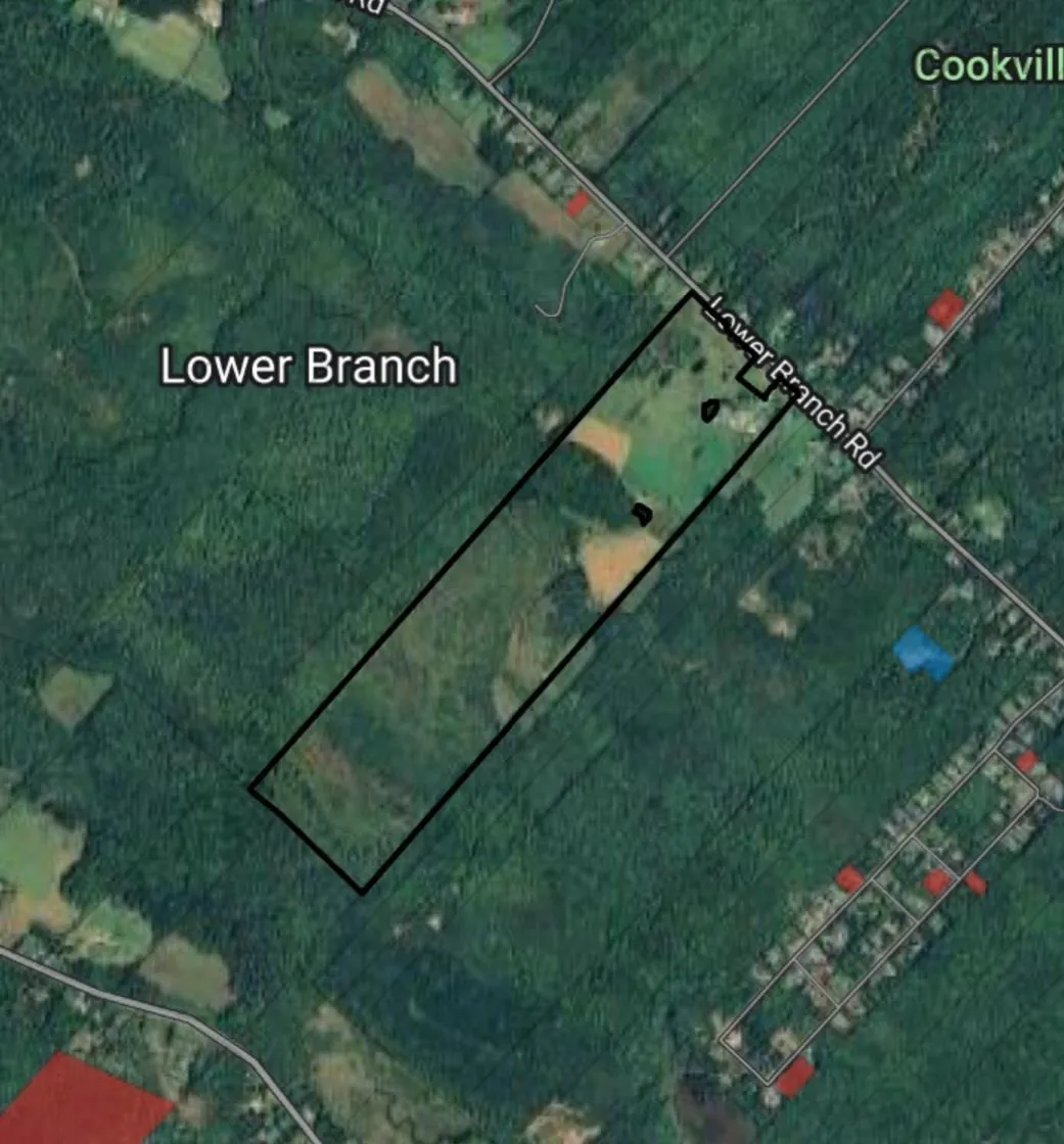 307 Lower Branch Road, Lower Branch Ns B4v 4m5, 4 Bedrooms Bedrooms, ,1 BathroomBathrooms,Farm,For Sale,Lower Branch,202322833
