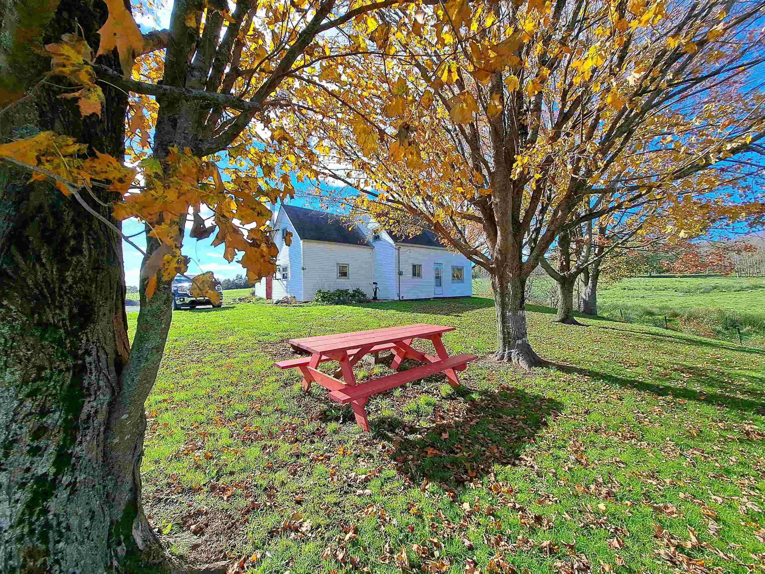 307 Lower Branch Road, Lower Branch Ns B4v 4m5, 4 Bedrooms Bedrooms, ,1 BathroomBathrooms,Farm,For Sale,Lower Branch,202322833