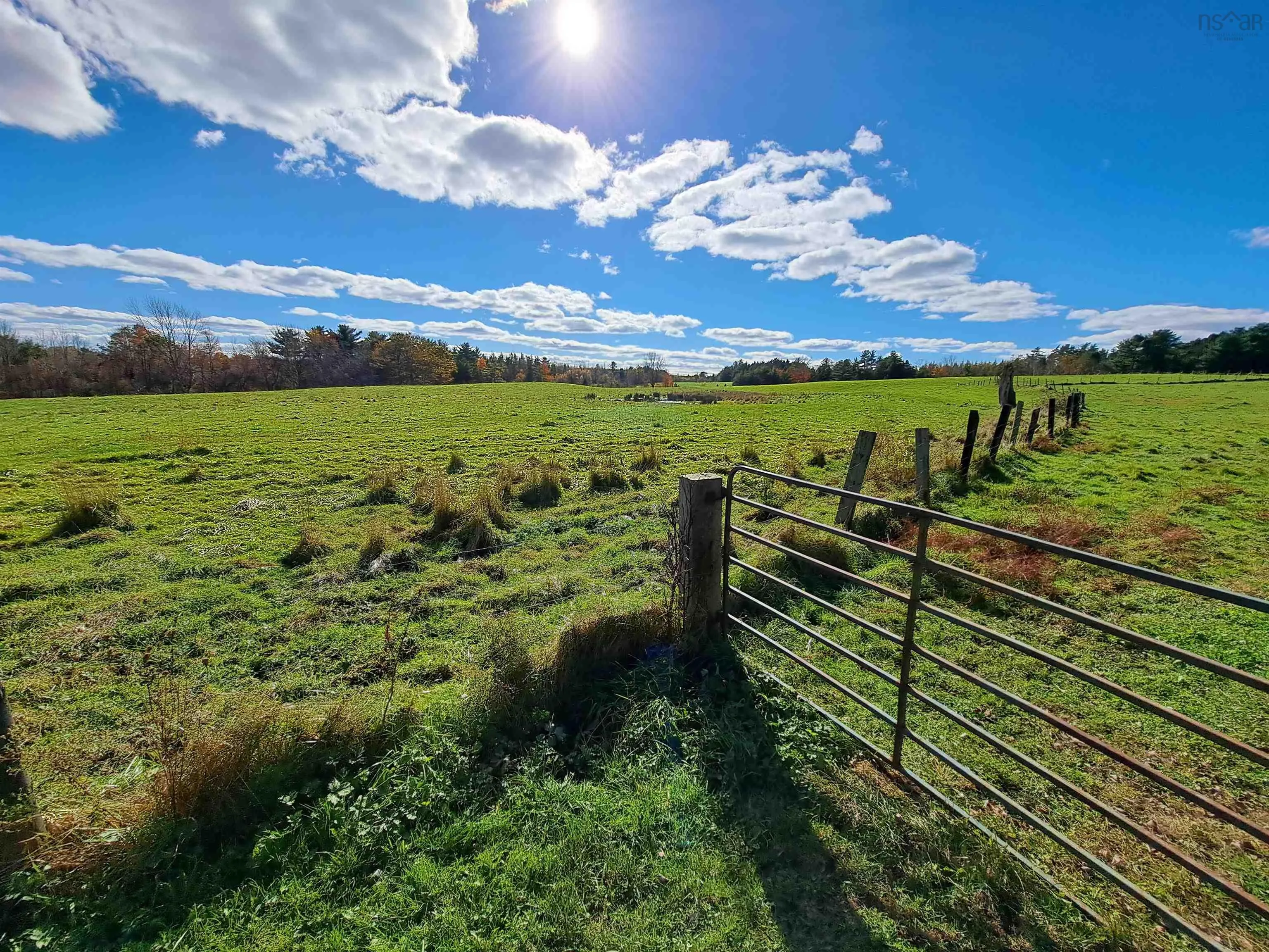 307 Lower Branch Road, Lower Branch Ns B4v 4m5, 4 Bedrooms Bedrooms, ,1 BathroomBathrooms,Farm,For Sale,Lower Branch,202322833