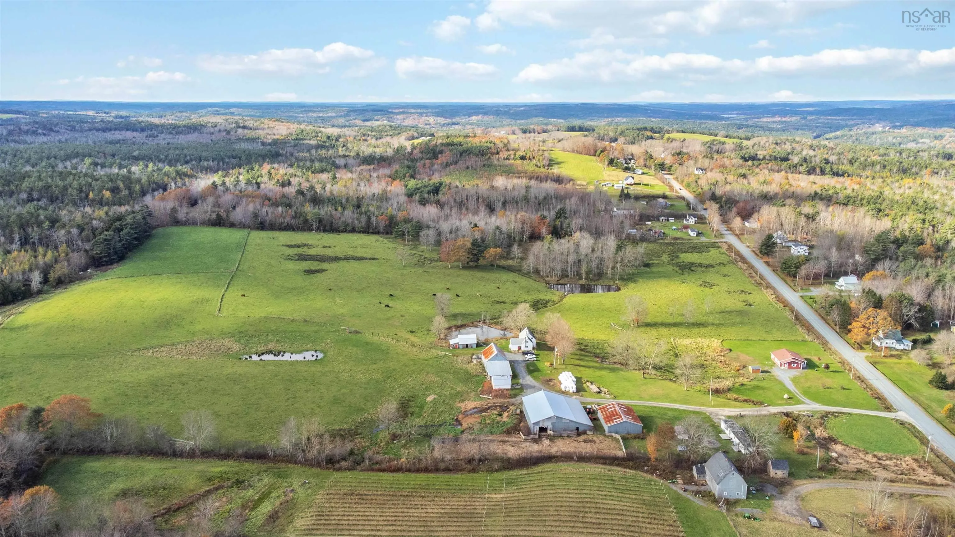 307 Lower Branch Road, Lower Branch Ns B4v 4m5, 4 Bedrooms Bedrooms, ,1 BathroomBathrooms,Farm,For Sale,Lower Branch,202322833