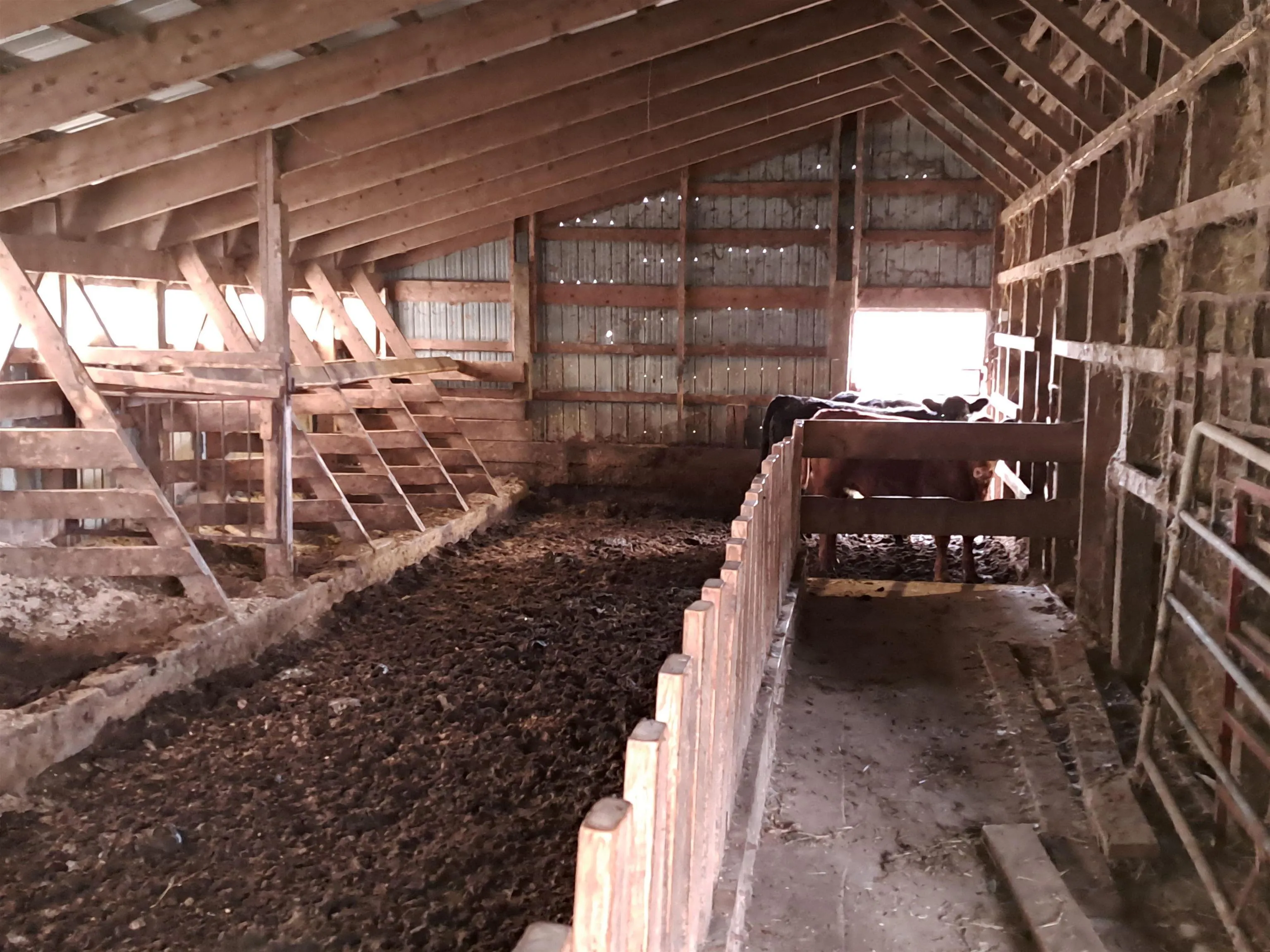 307 Lower Branch Road, Lower Branch Ns B4v 4m5, 4 Bedrooms Bedrooms, ,1 BathroomBathrooms,Farm,For Sale,Lower Branch,202322833