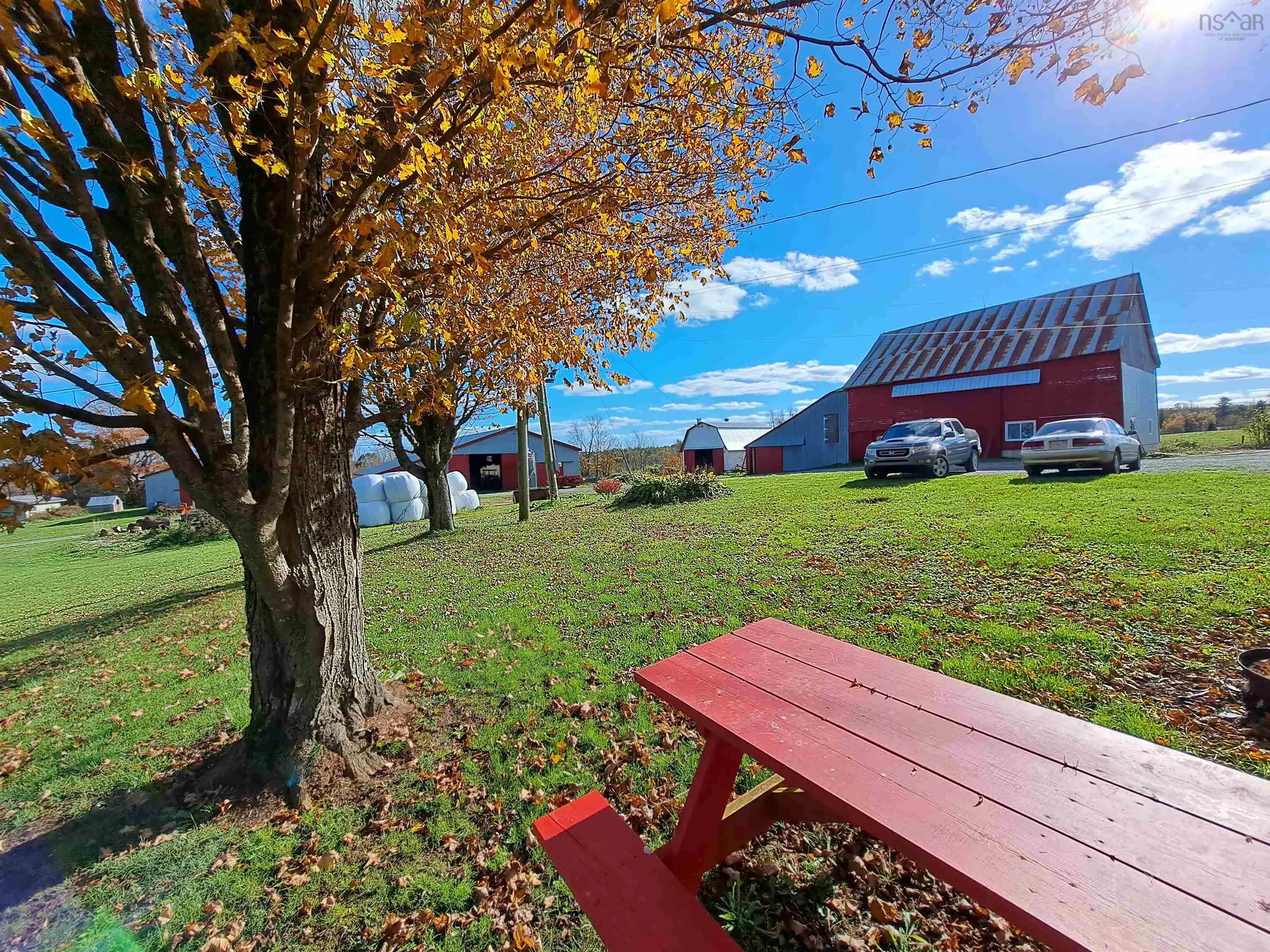 307 Lower Branch Road, Lower Branch Ns B4v 4m5, 4 Bedrooms Bedrooms, ,1 BathroomBathrooms,Farm,For Sale,Lower Branch,202322833