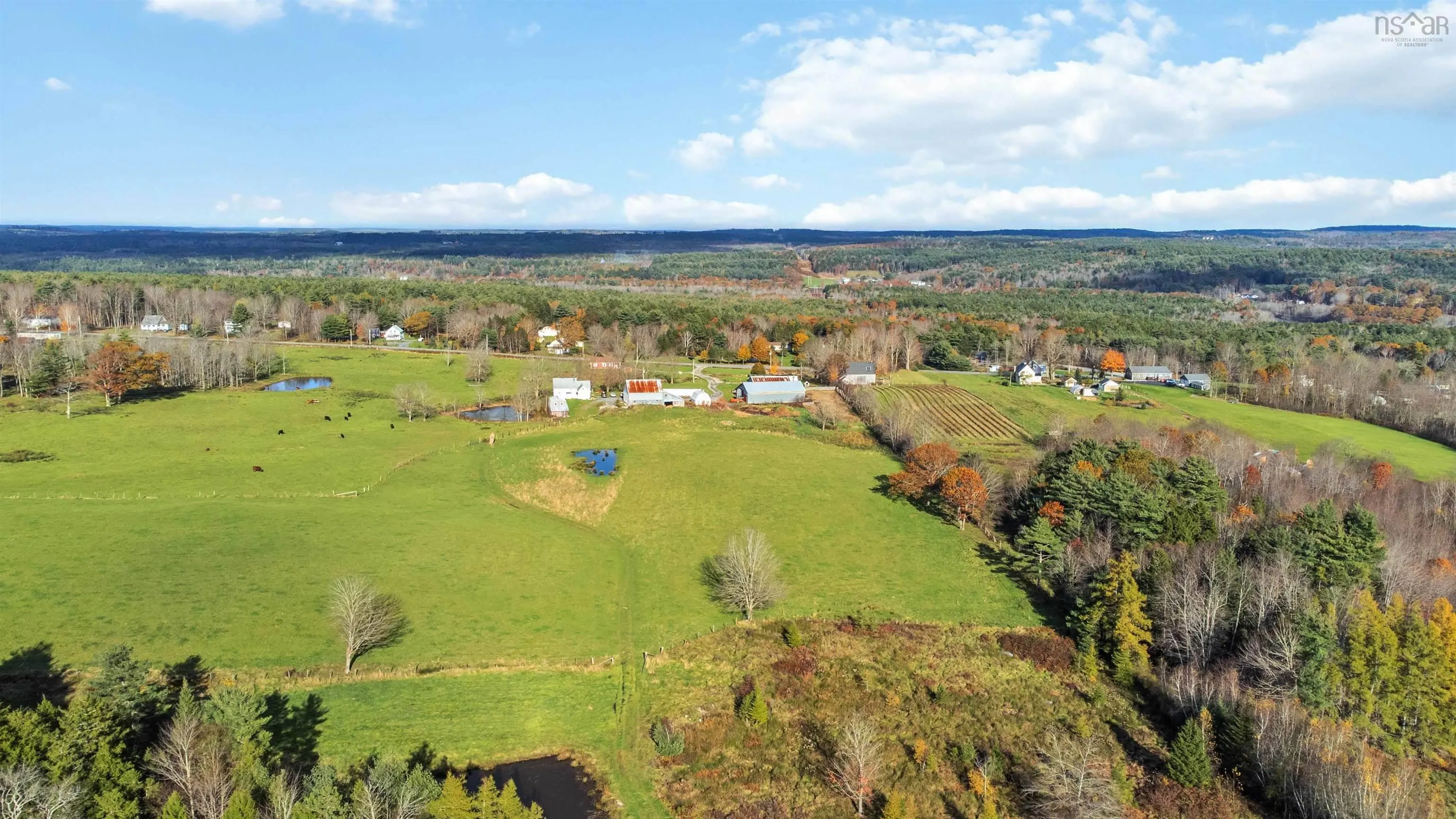 307 Lower Branch Road, Lower Branch Ns B4v 4m5, 4 Bedrooms Bedrooms, ,1 BathroomBathrooms,Farm,For Sale,Lower Branch,202322833