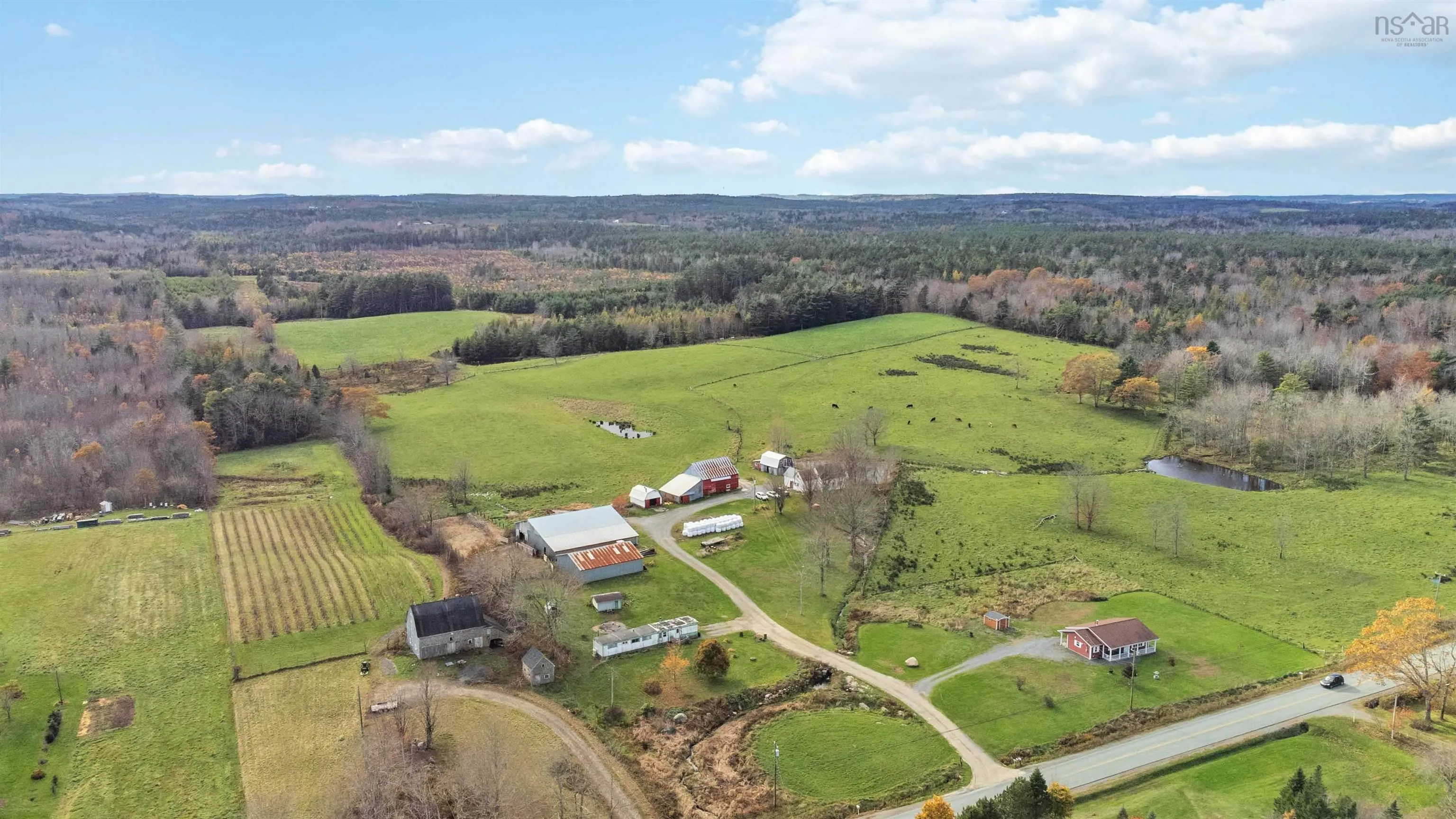 307 Lower Branch Road, Lower Branch Ns B4v 4m5, 4 Bedrooms Bedrooms, ,1 BathroomBathrooms,Farm,For Sale,Lower Branch,202322833