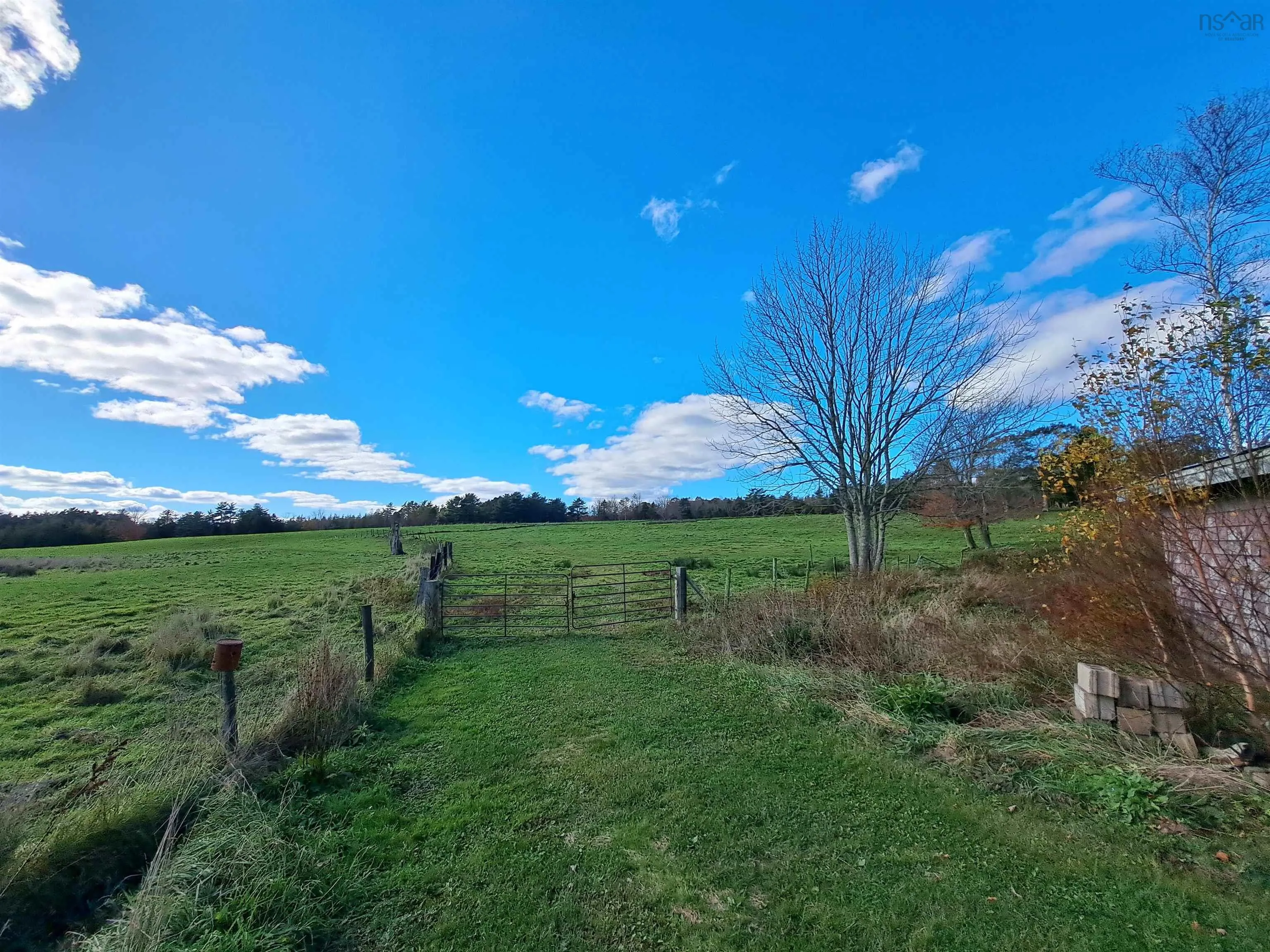 307 Lower Branch Road, Lower Branch Ns B4v 4m5, 4 Bedrooms Bedrooms, ,1 BathroomBathrooms,Farm,For Sale,Lower Branch,202322833