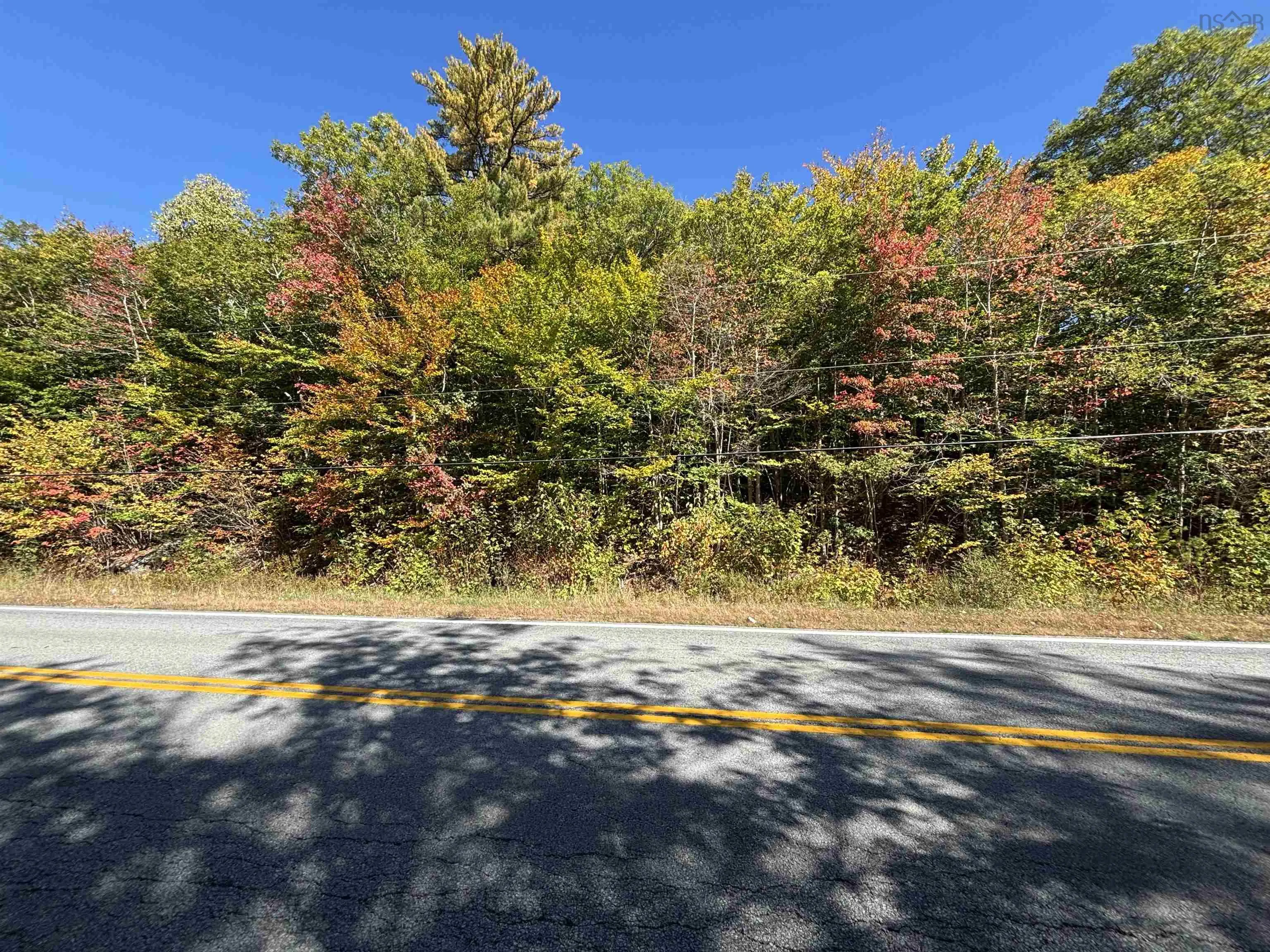 Highway 325 Lot 23, West Clifford, NS B4V 8H3, ,Land,For Sale,Highway 325,202524869