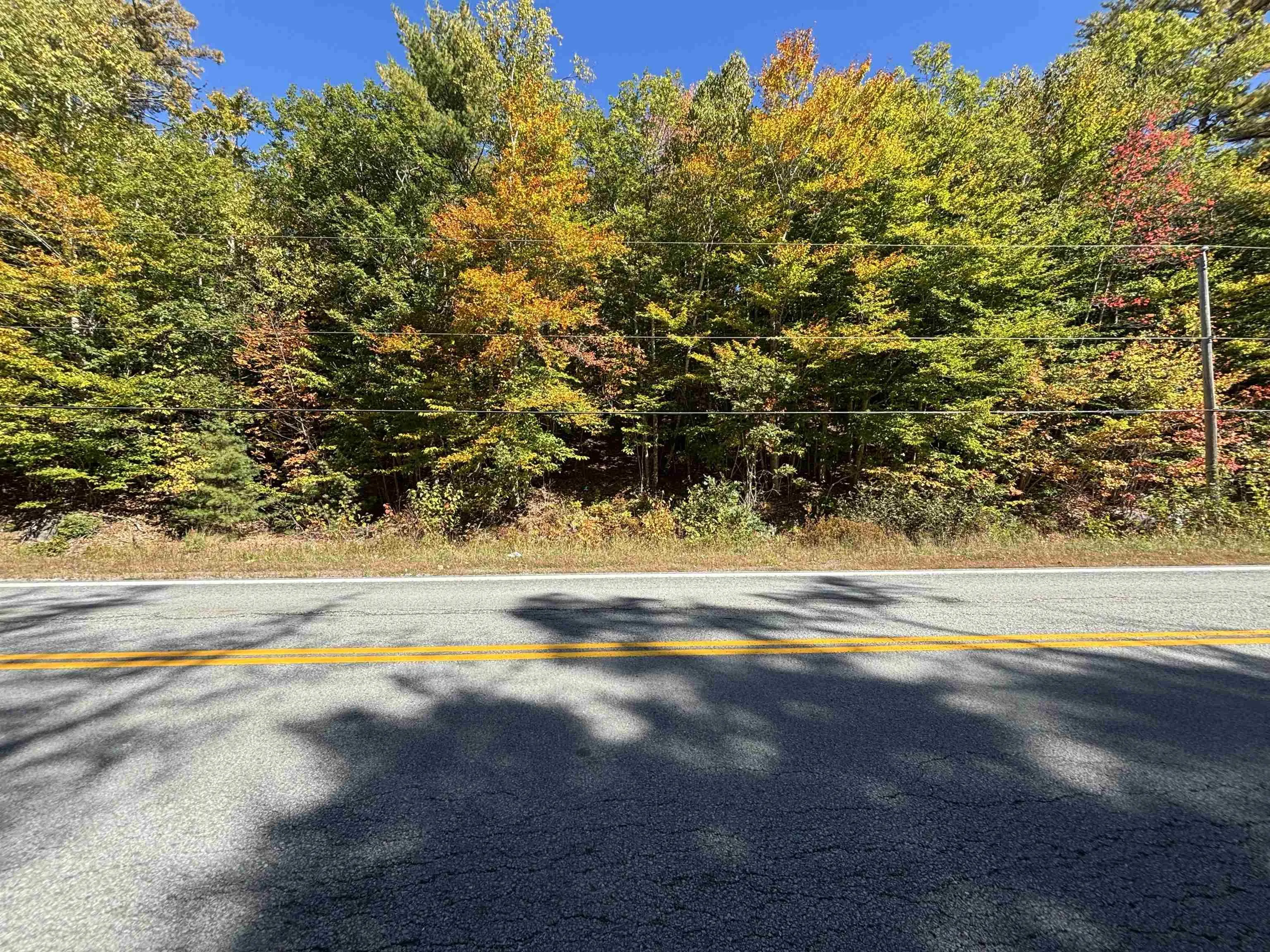 Highway 325 Lot 23, West Clifford, NS B4V 8H3, ,Land,For Sale,Highway 325,202524869