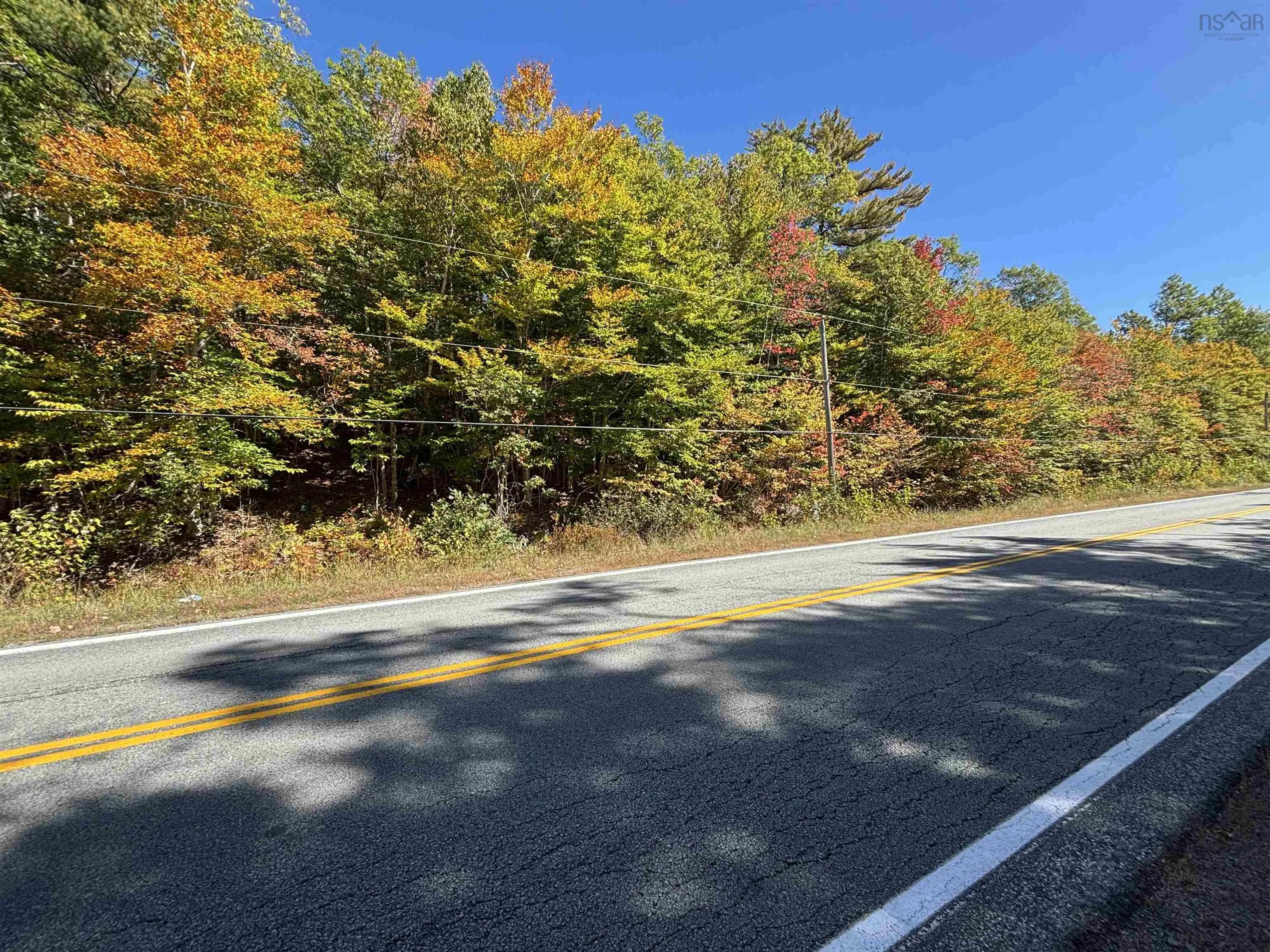 Highway 325 Lot 23, West Clifford, NS B4V 8H3, ,Land,For Sale,Highway 325,202524869