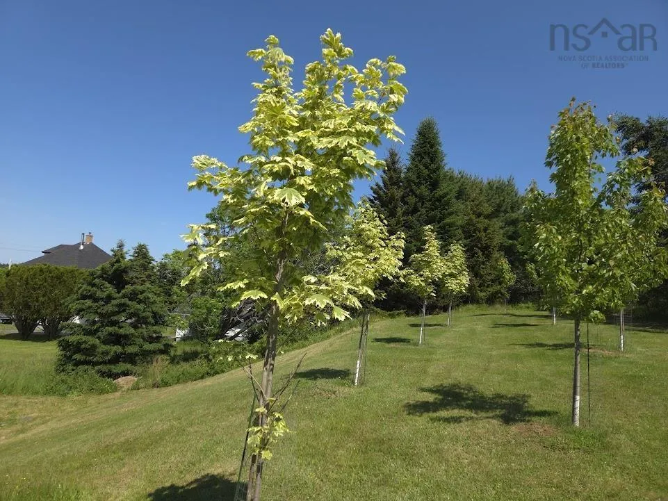 3781 Highway 332, Riverport, NS B0J 2W0, 5 Bedrooms Bedrooms, ,2 BathroomsBathrooms,Residential,For Sale,Highway 332,202515094