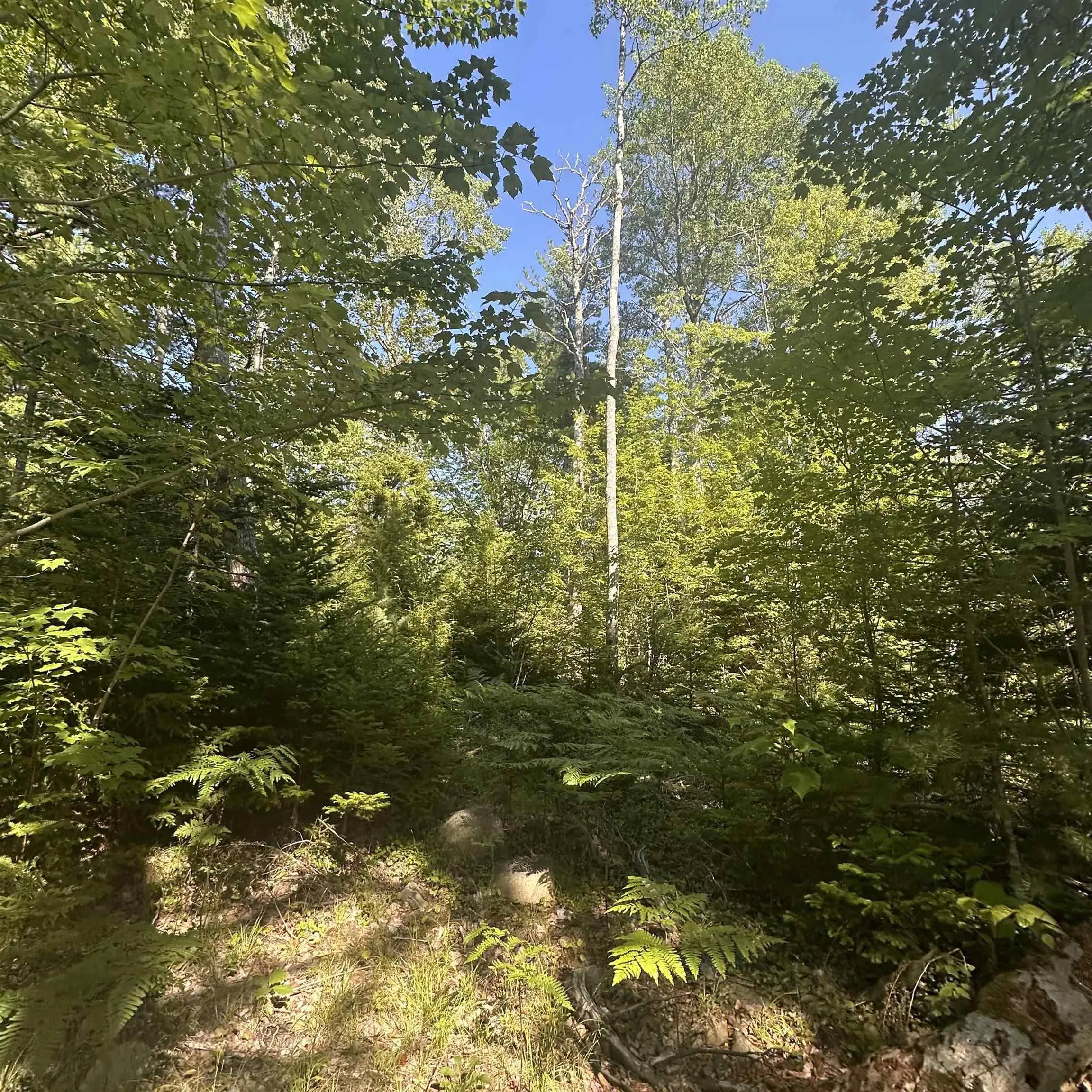Pid 70241864 Wellington Road, Buckfield, NS B0T 1E0, ,Land,For Sale,Pid 70241864 Wellington,202517822