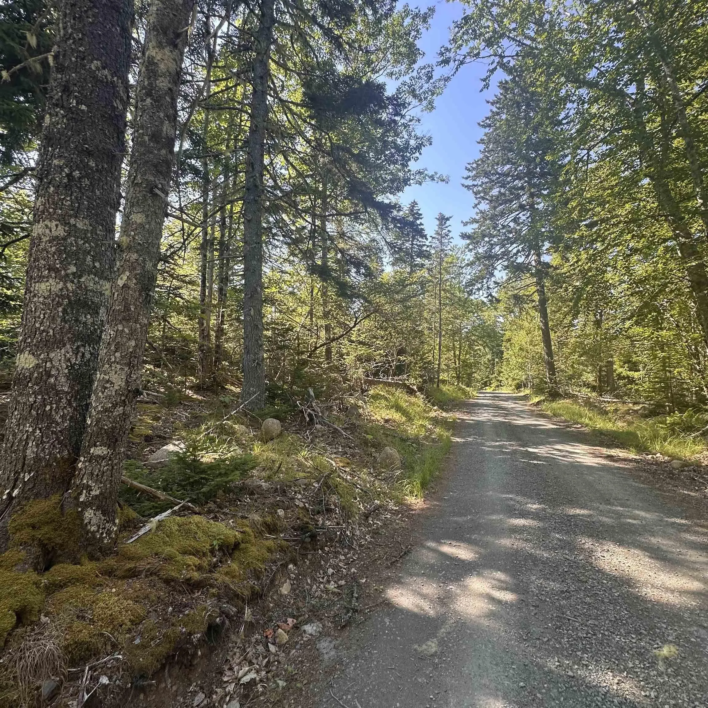 Pid 70241864 Wellington Road, Buckfield, NS B0T 1E0, ,Land,For Sale,Pid 70241864 Wellington,202517822