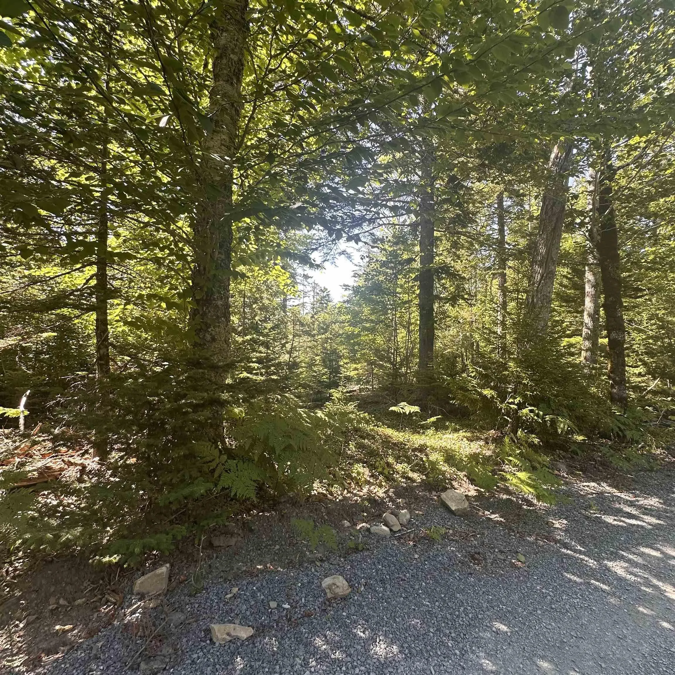 Pid 70241864 Wellington Road, Buckfield, NS B0T 1E0, ,Land,For Sale,Pid 70241864 Wellington,202517822