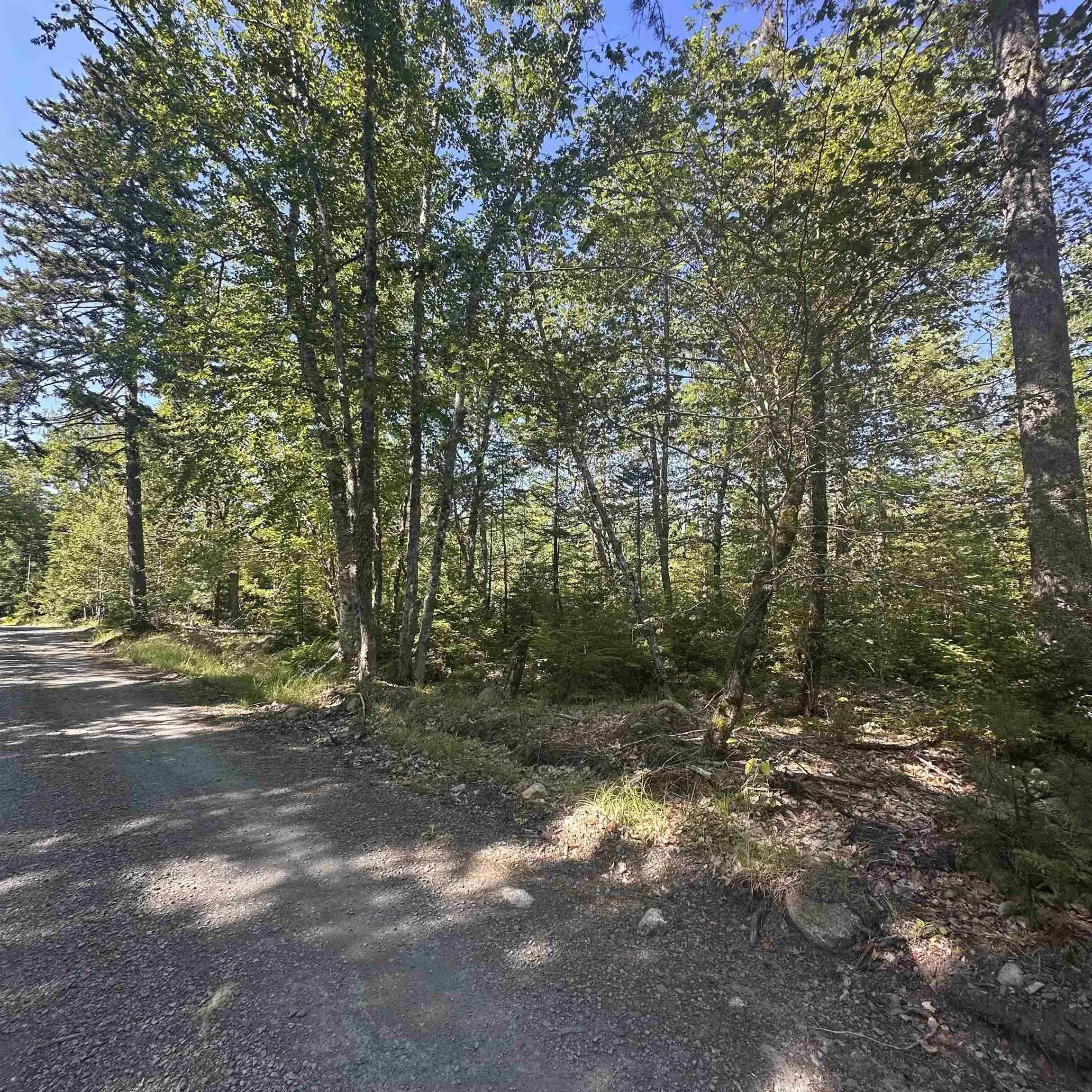 Pid 70241864 Wellington Road, Buckfield, NS B0T 1E0, ,Land,For Sale,Pid 70241864 Wellington,202517822