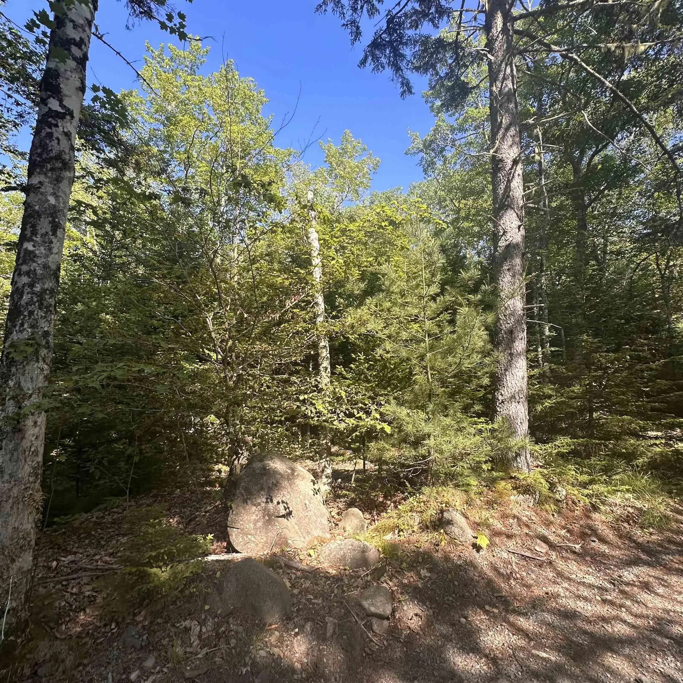 Pid 70241864 Wellington Road, Buckfield, NS B0T 1E0, ,Land,For Sale,Pid 70241864 Wellington,202517822