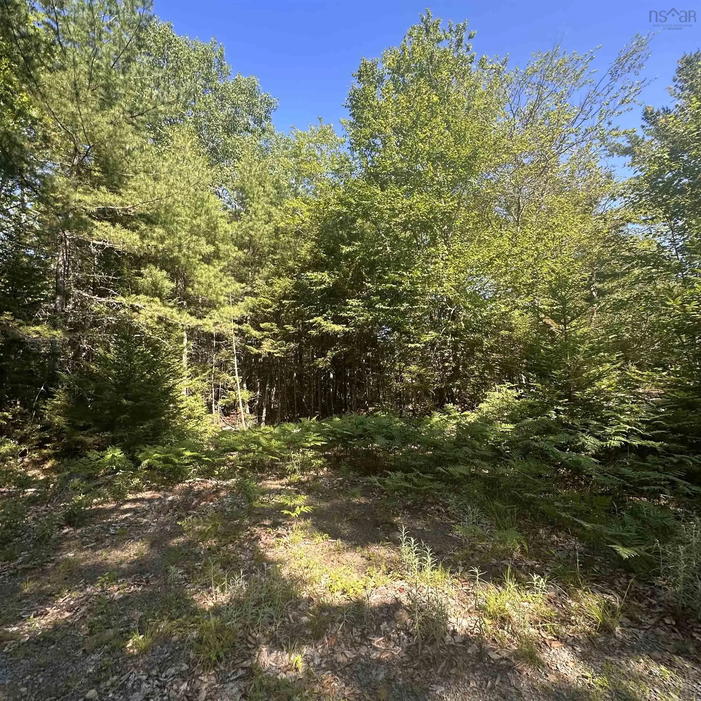 Pid 70241864 Wellington Road, Buckfield, NS B0T 1E0, ,Land,For Sale,Pid 70241864 Wellington,202517822