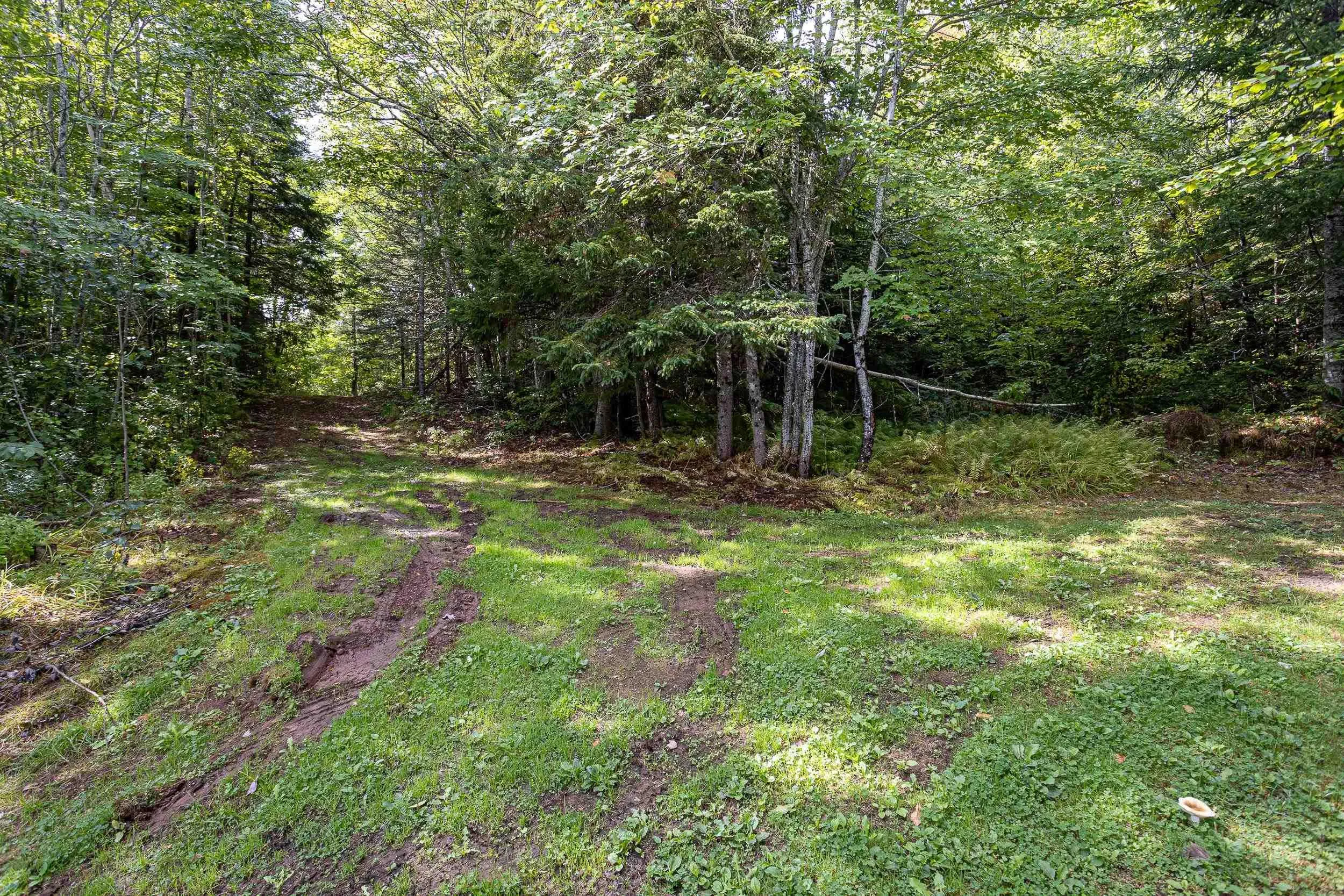 6479 Wentworth Collingwood Road, Wentworth, NS B0M 1Z0, 3 Bedrooms Bedrooms, ,1 BathroomBathrooms,Residential,For Sale,Wentworth Collingwood,202523063