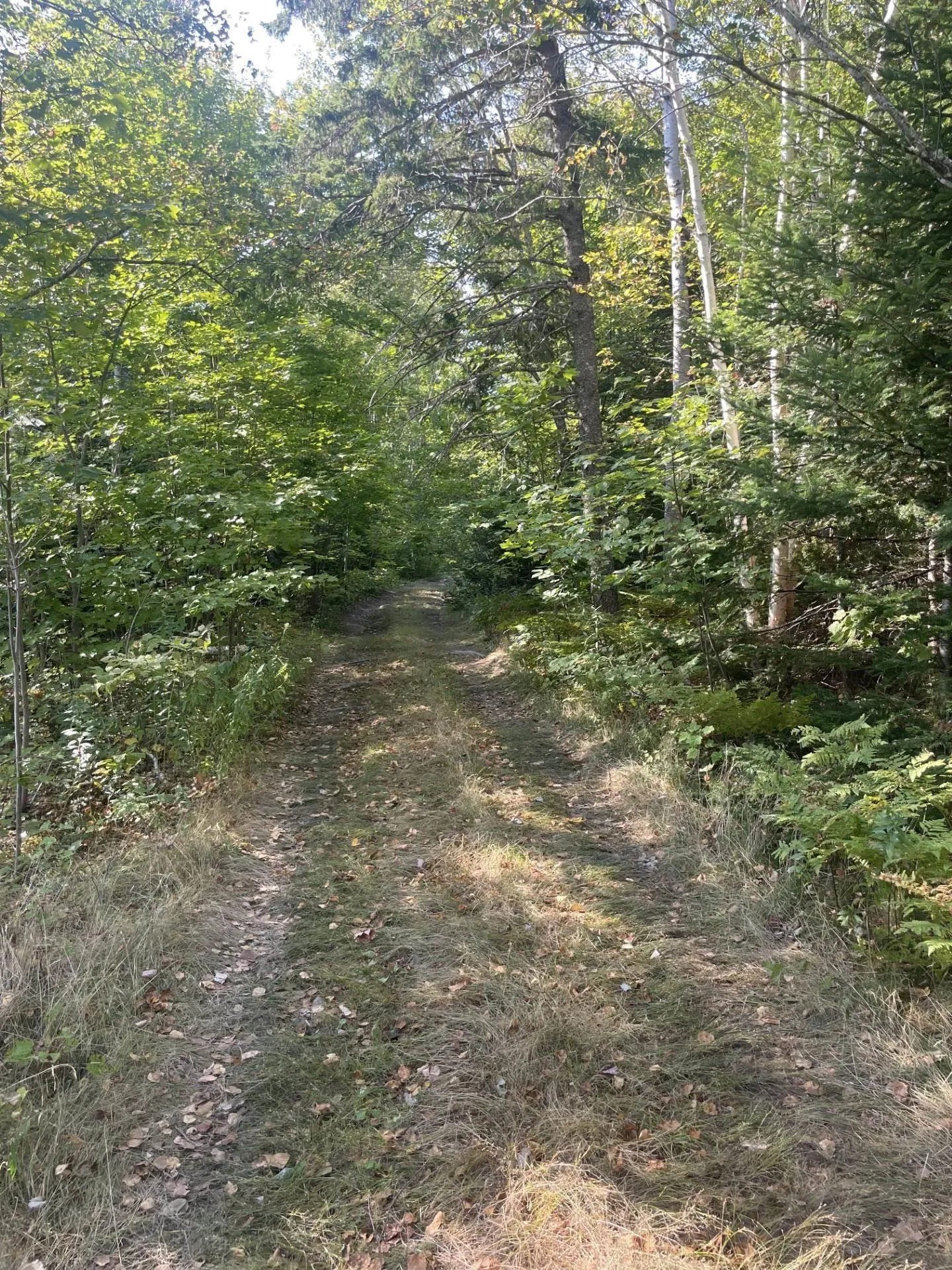 Old Mulgrave Road, Monastery Ns B0h 1w0, ,Land,For Sale,Old Mulgrave,202422694