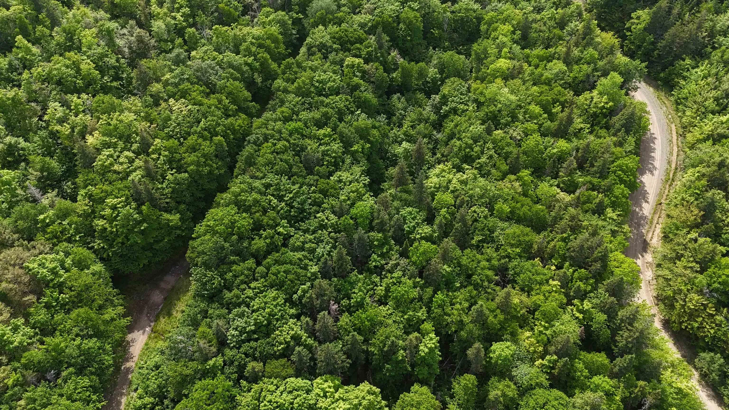 Highway 344, Mulgrave Ns B0e 2g0, ,Land,For Sale,Highway 344,202500563