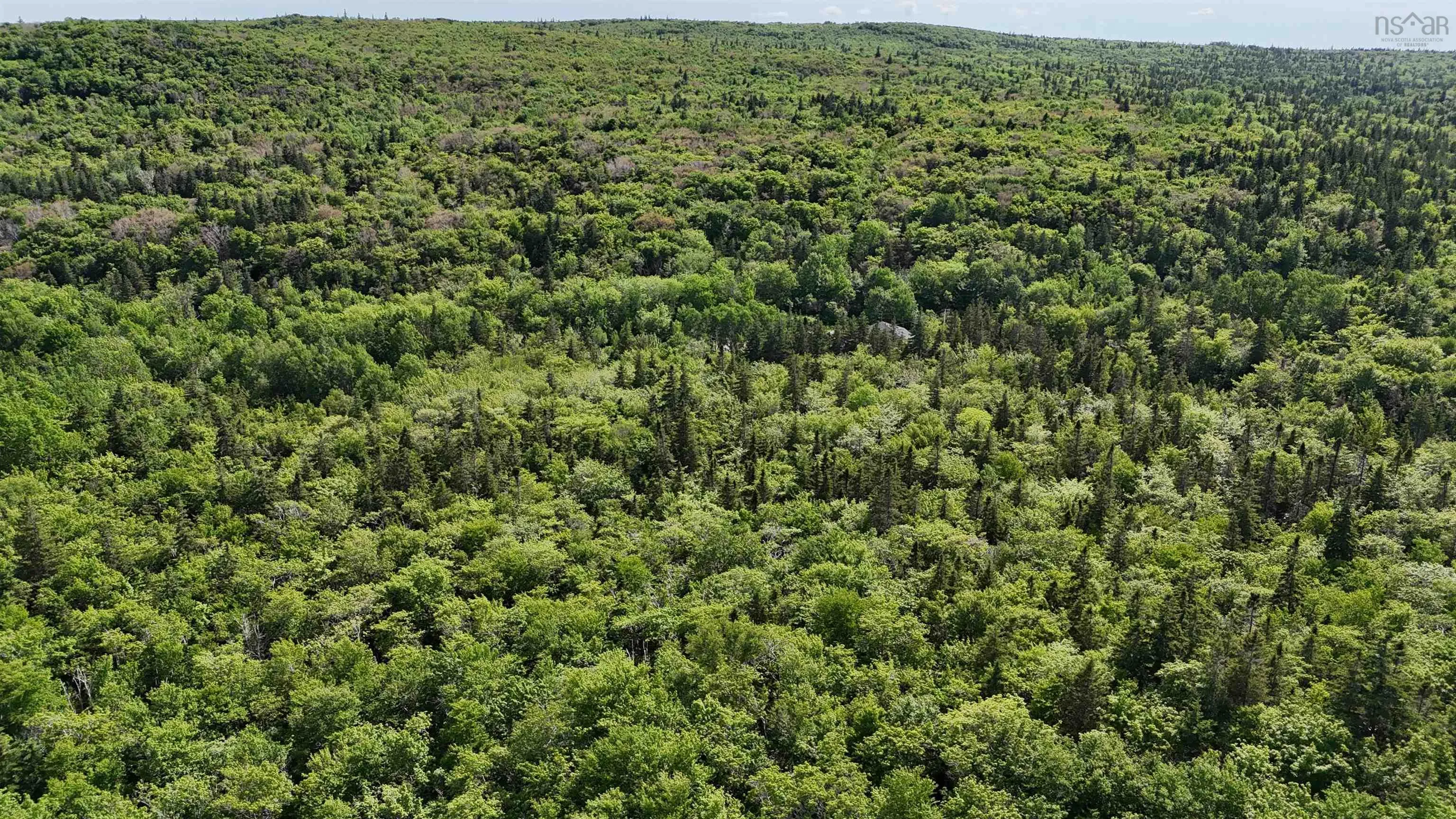 Highway 344, Mulgrave Ns B0e 2g0, ,Land,For Sale,Highway 344,202500563