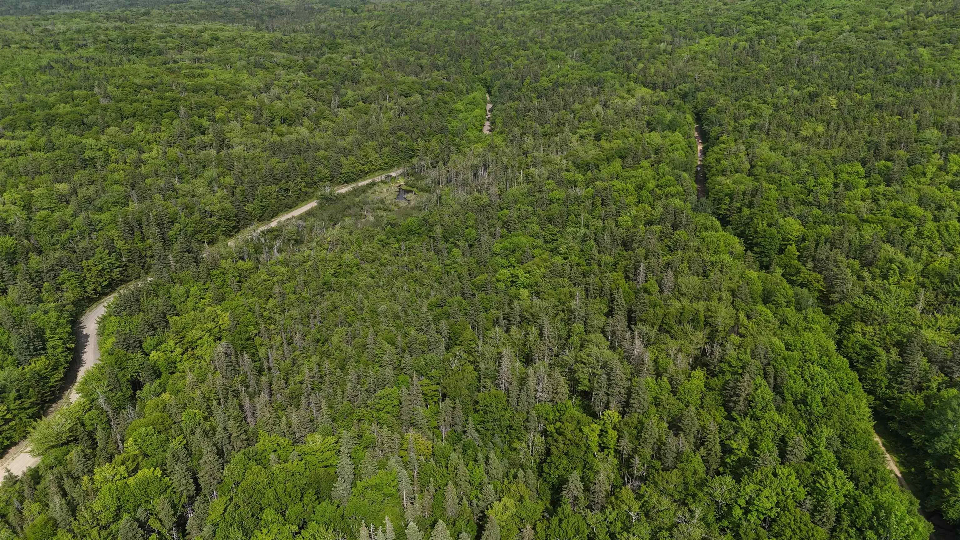 Highway 344, Mulgrave Ns B0e 2g0, ,Land,For Sale,Highway 344,202500563